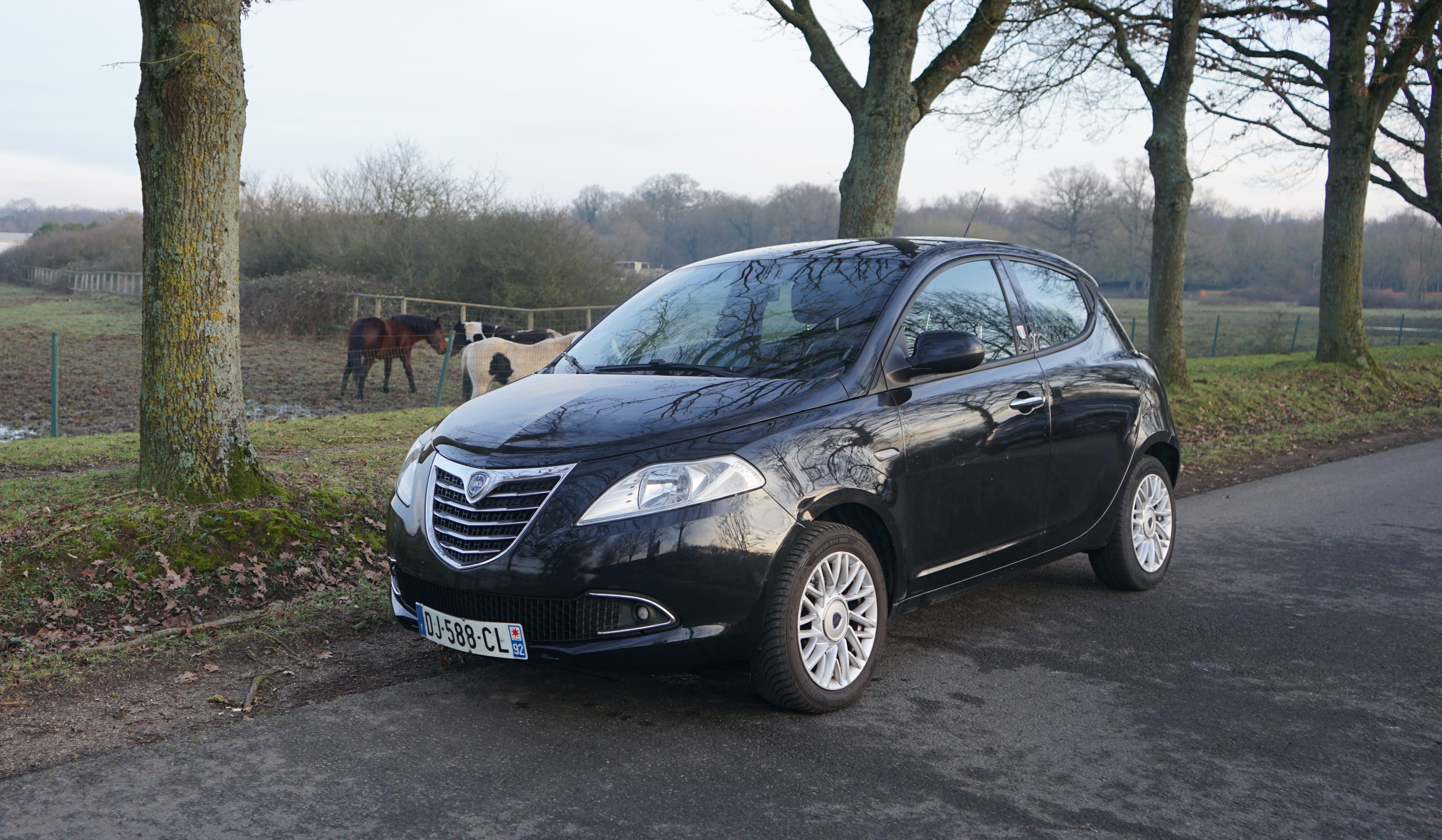 Lancia Ypsilon, 2014, Essence 95