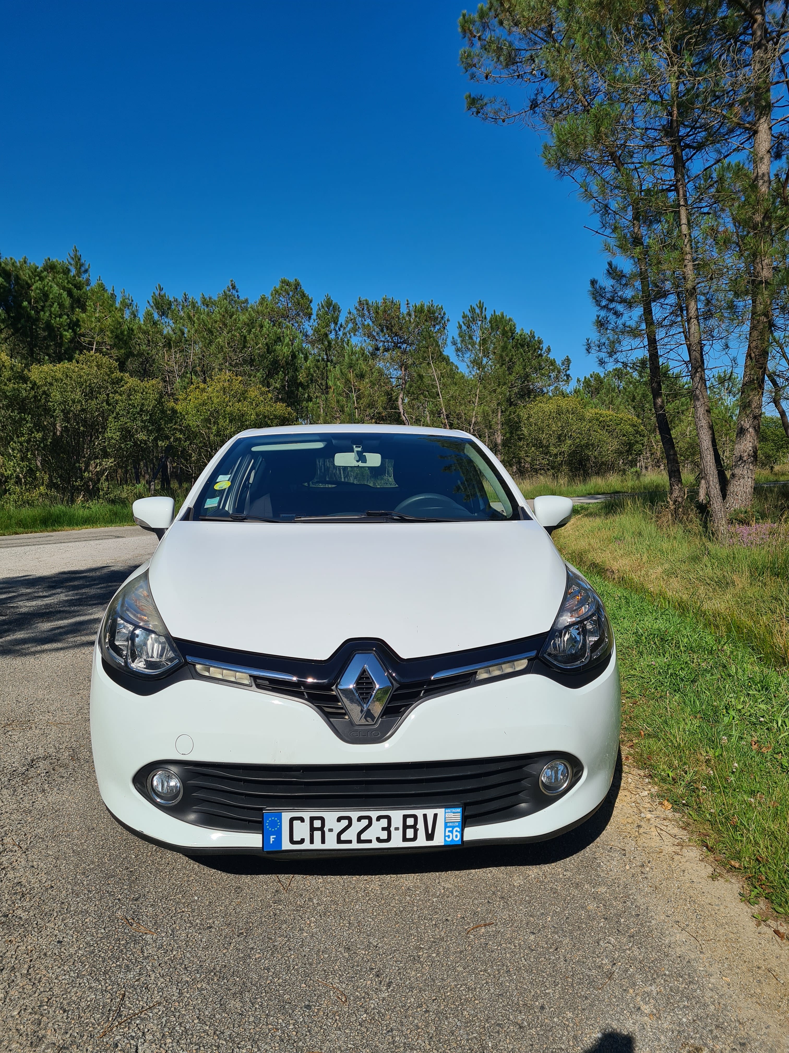 Renault Clio Société