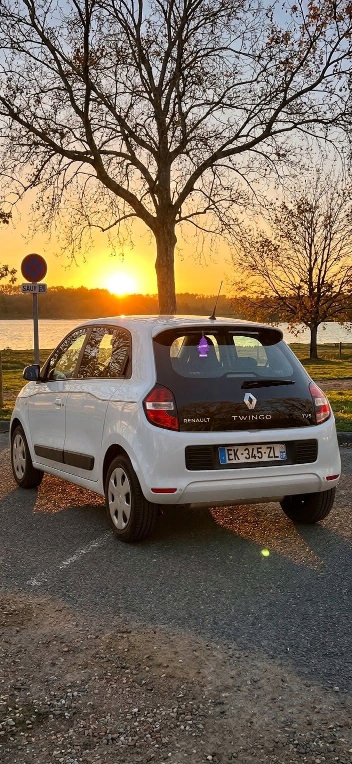 Renault Twingo III avec GPS