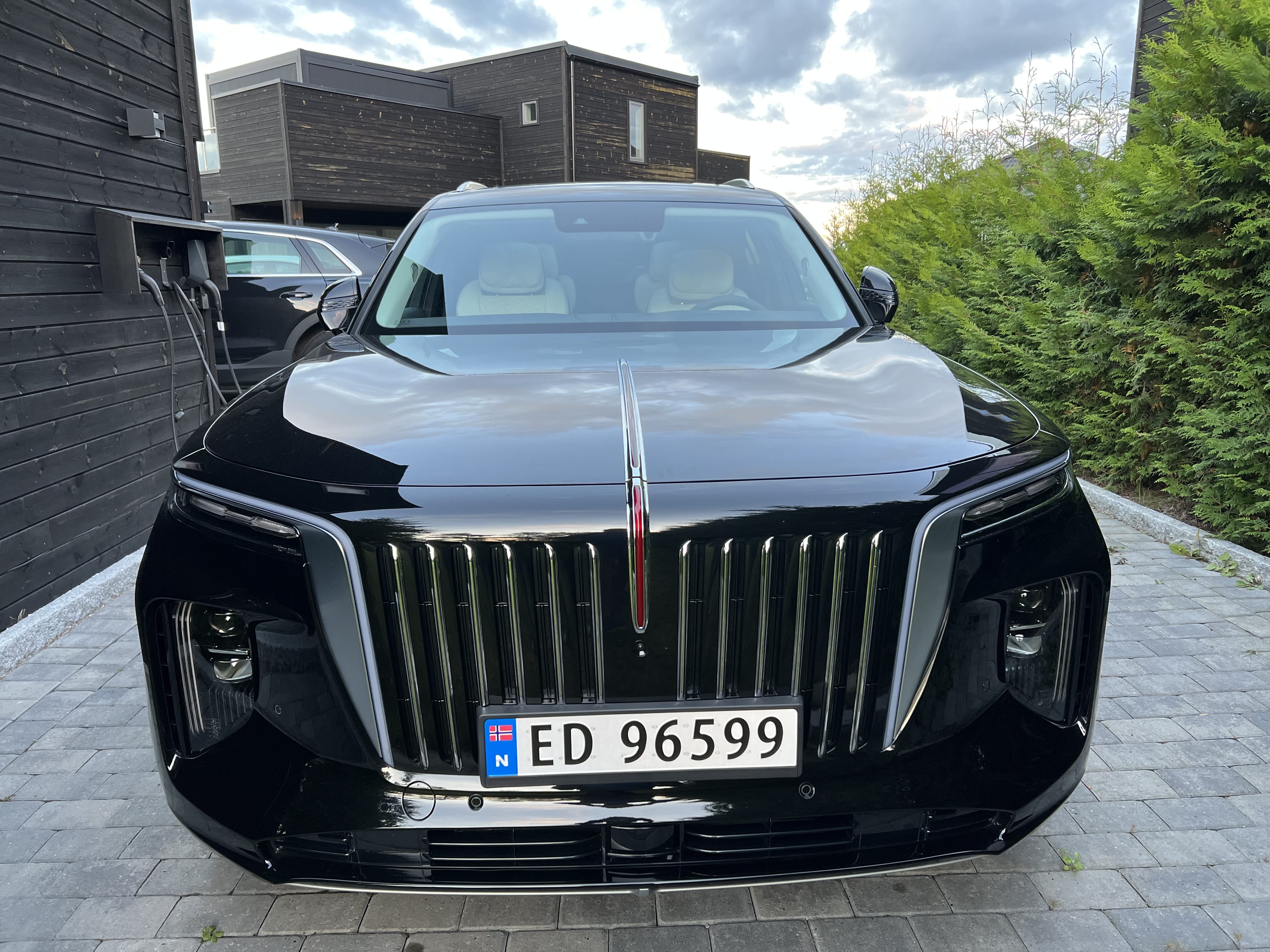 Hongqi E-HS9, 2022, Elektrisk, automatisk, 6 seter
