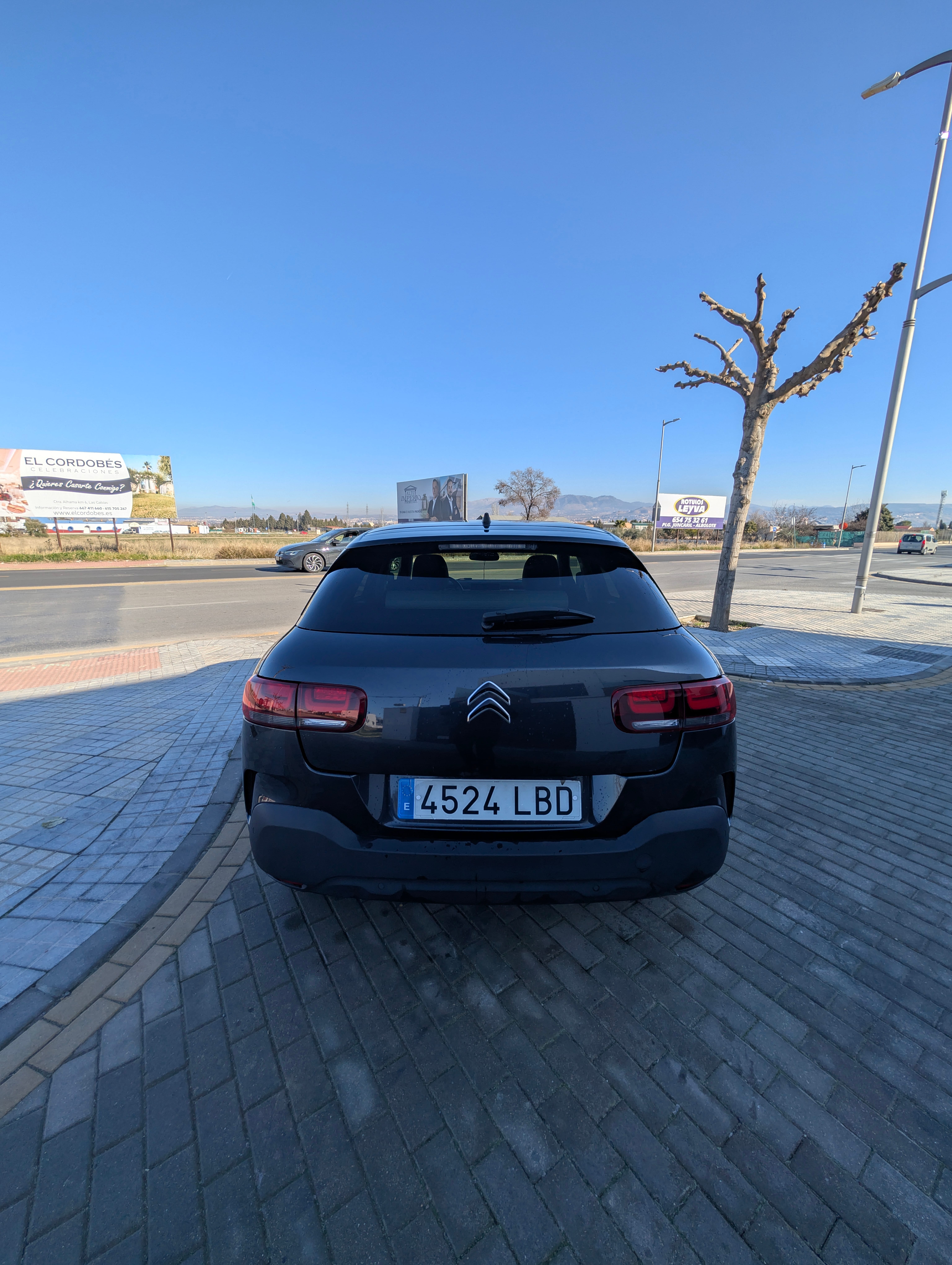 Citroen C4 Cactus con Cámara de marcha atrás