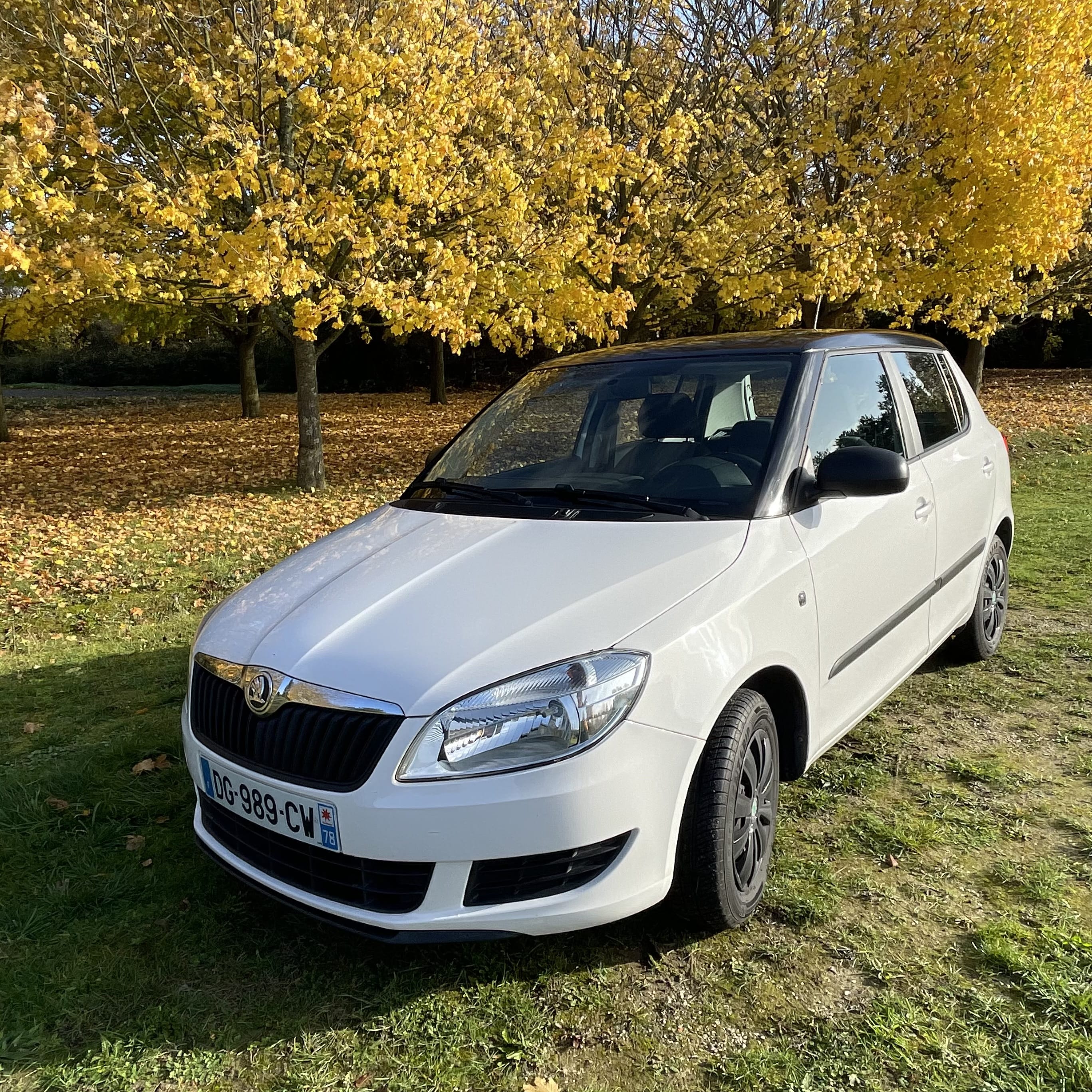 Skoda Fabia 1,2 HTP 70, 2014, Essence 95