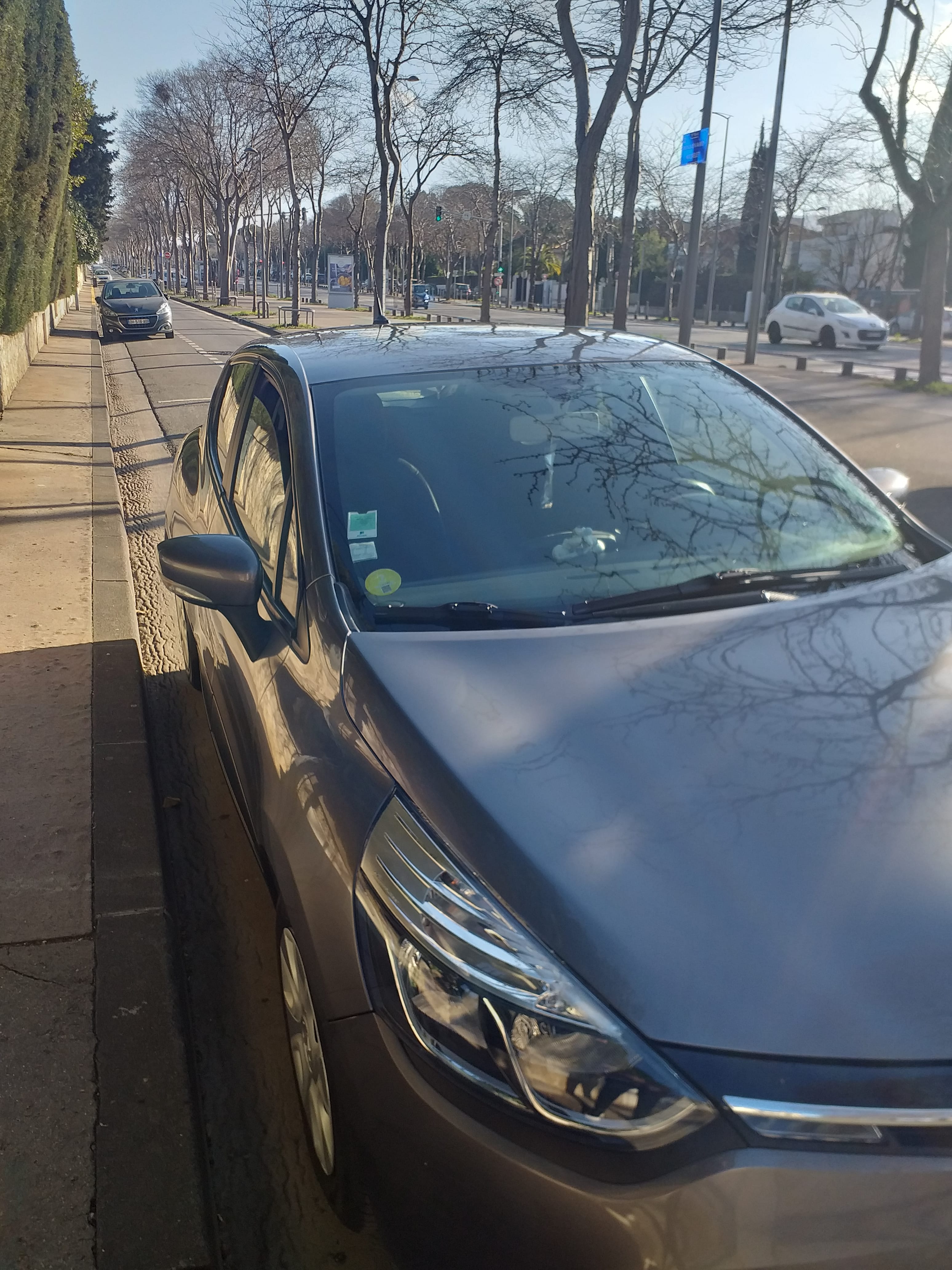 Renault Clio 1,4 DCI, 2013, Diesel