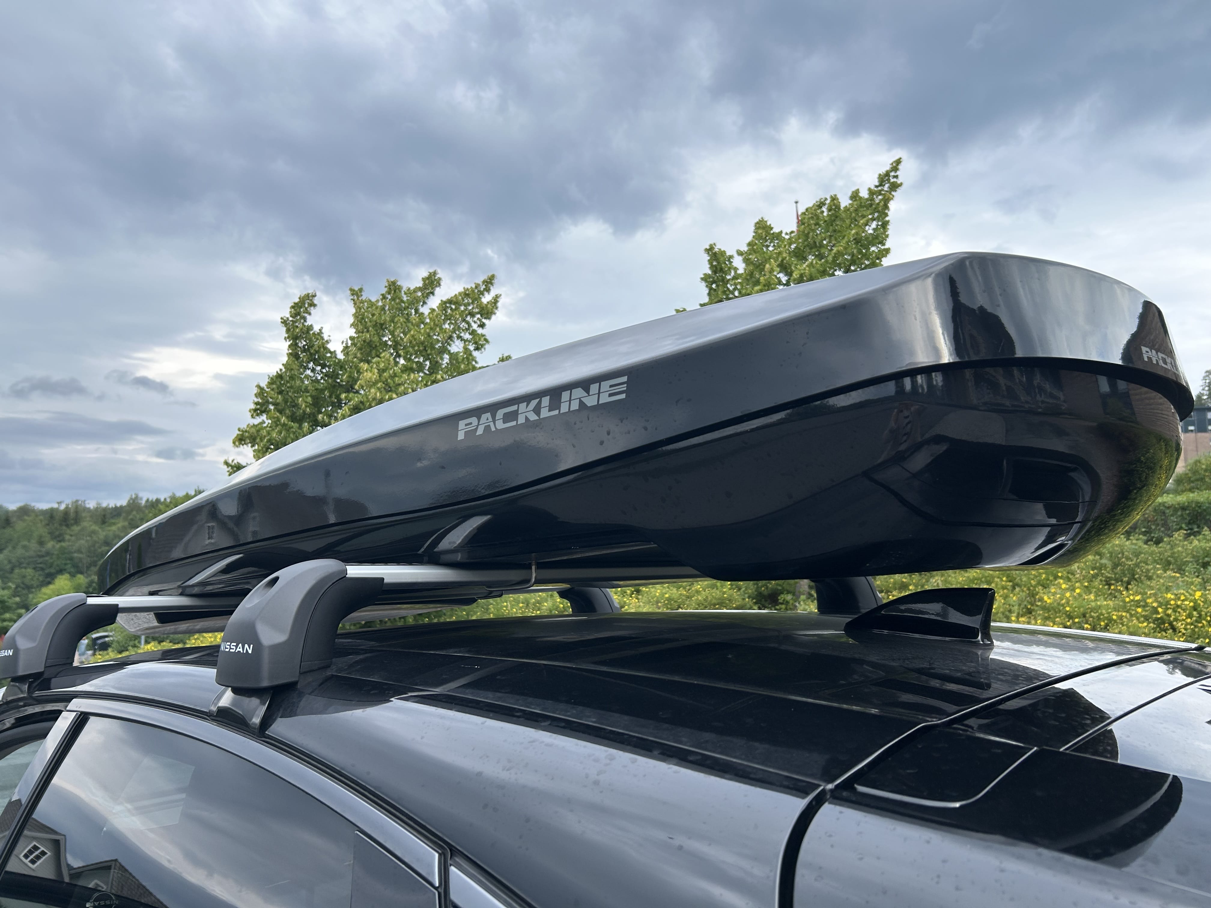 Nissan Ariya e-4ORCE with Roof box
