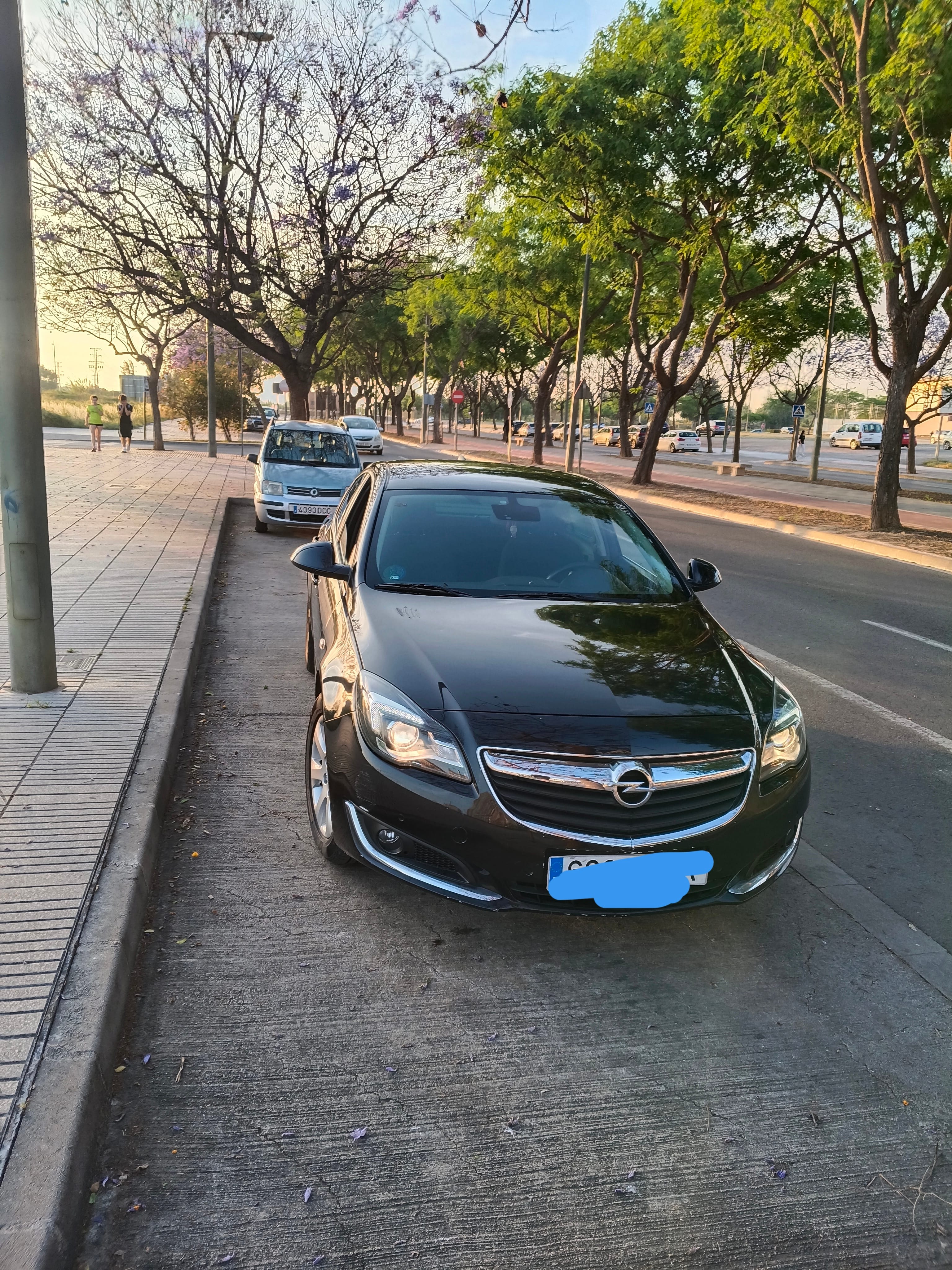 Opel Insignia, 2016, Diesel