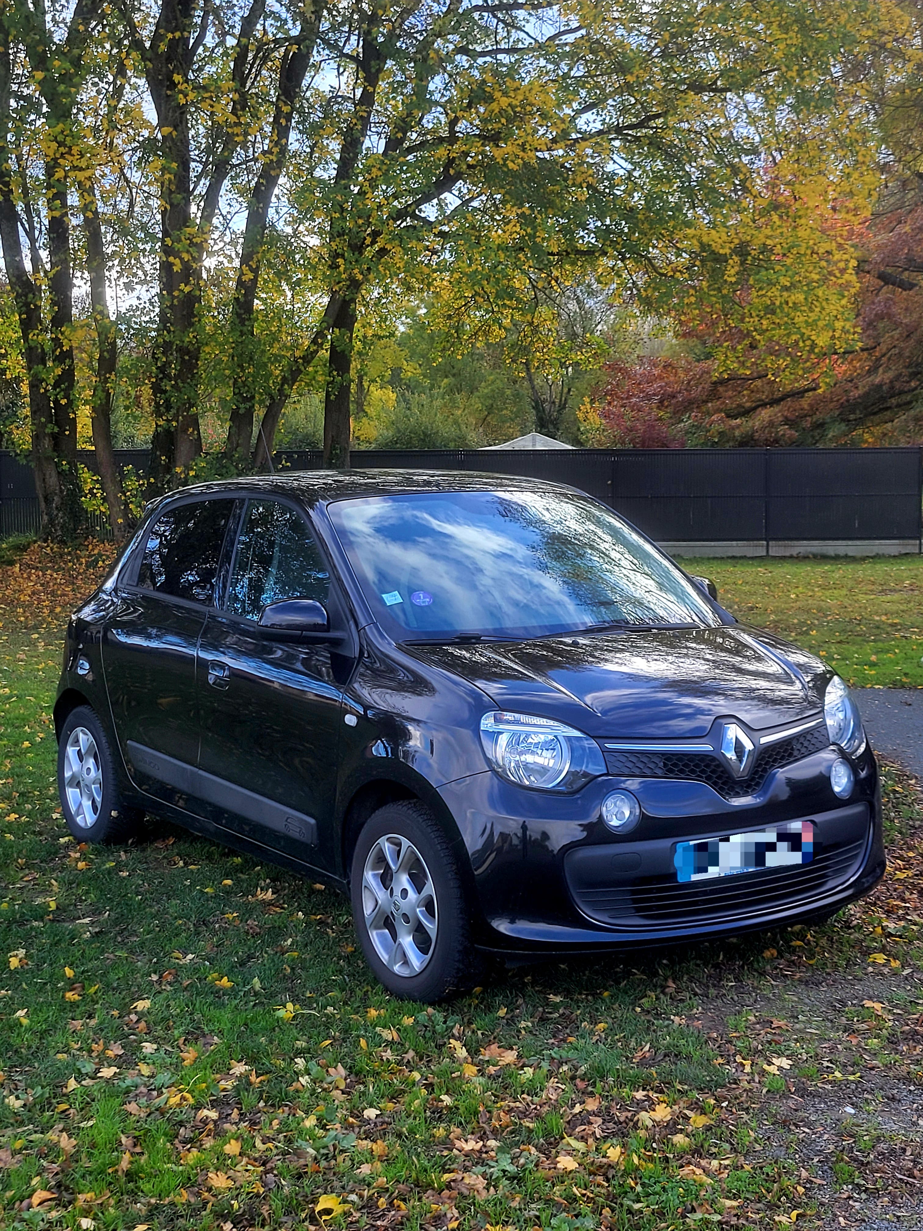 Renault Twingo, 2017, Essence 98