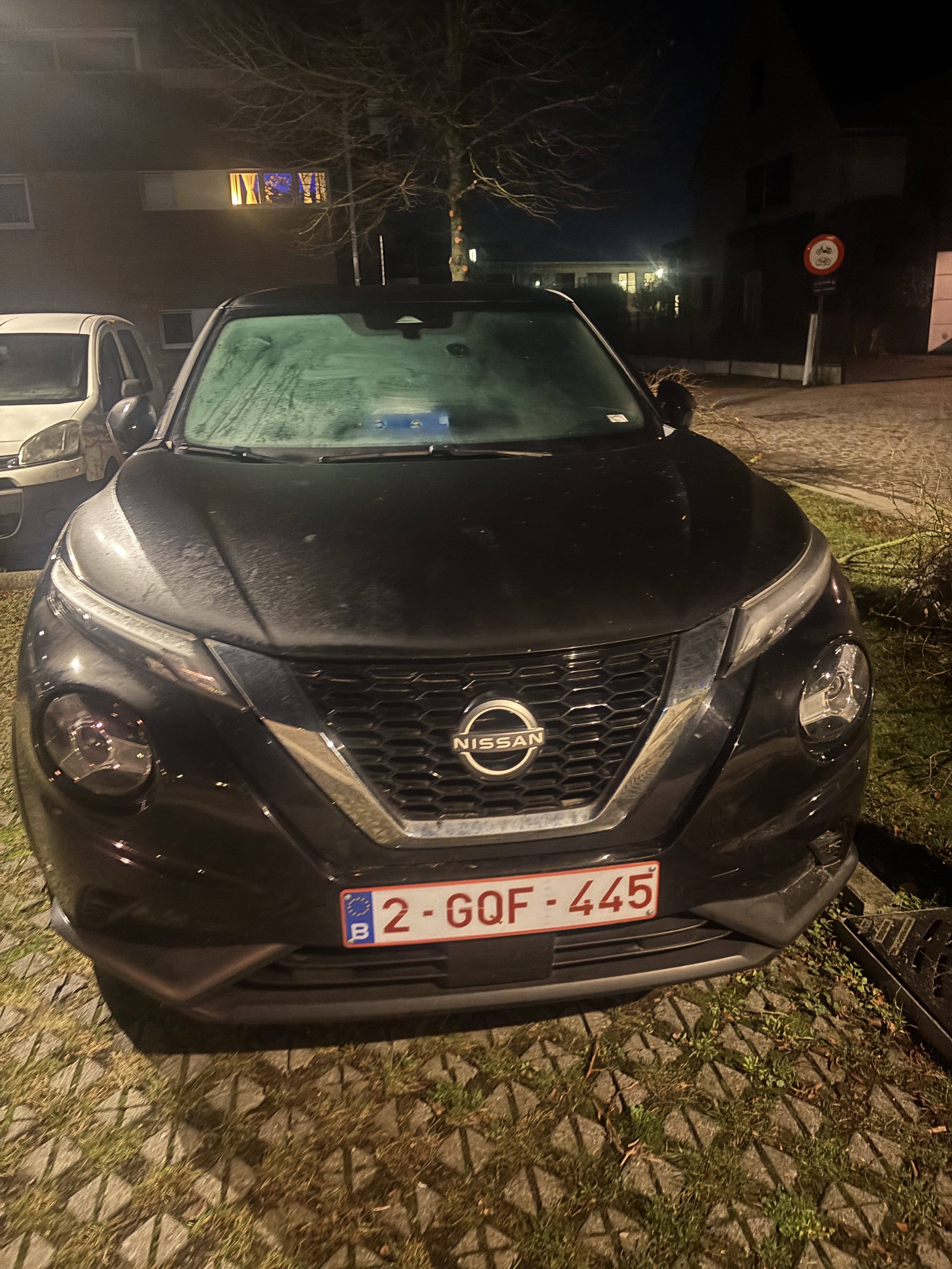 Nissan Juke, 2023, Euro 95 (E10)