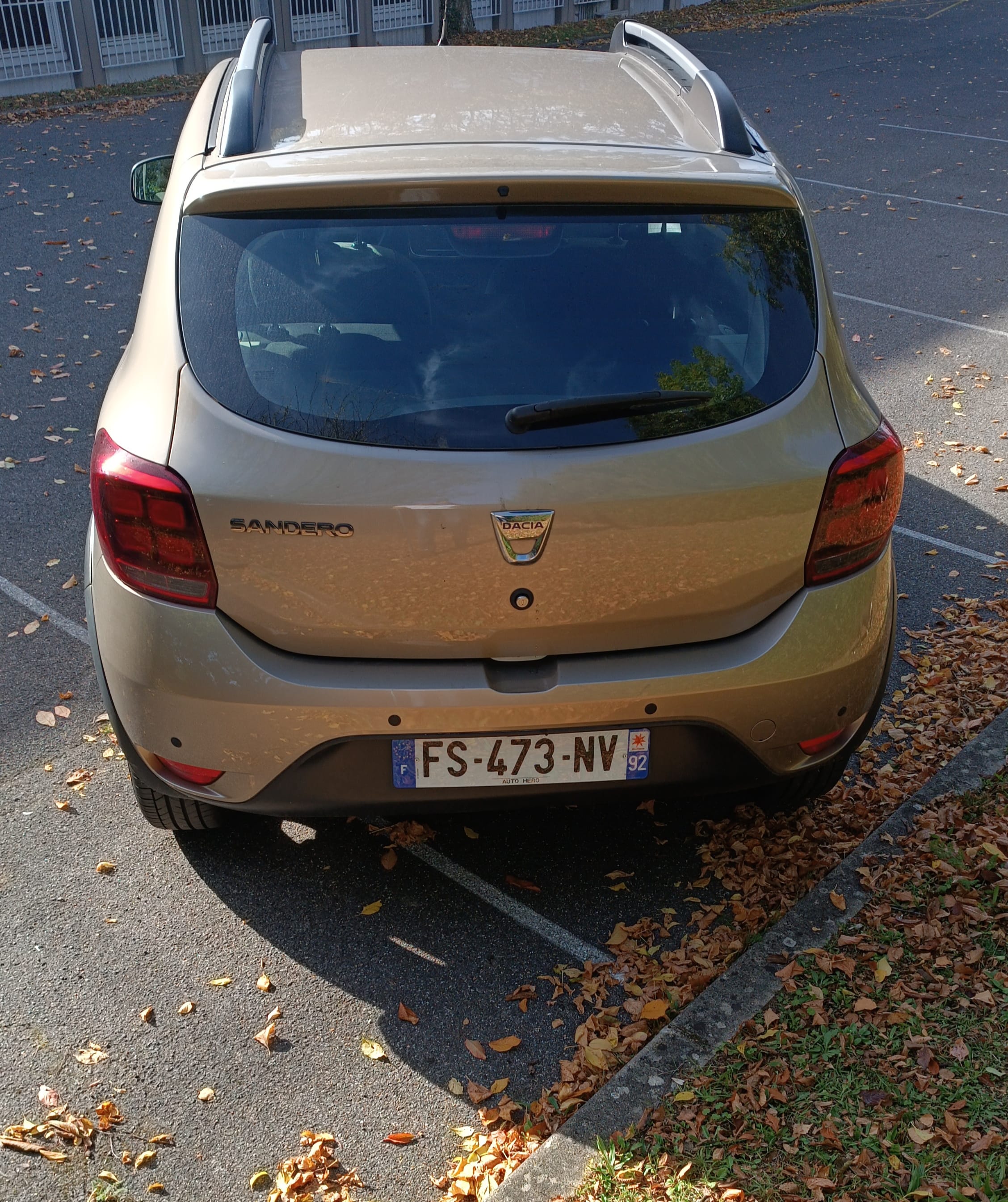 Dacia Sandero Stepway éthanol / E85 avec Port USB