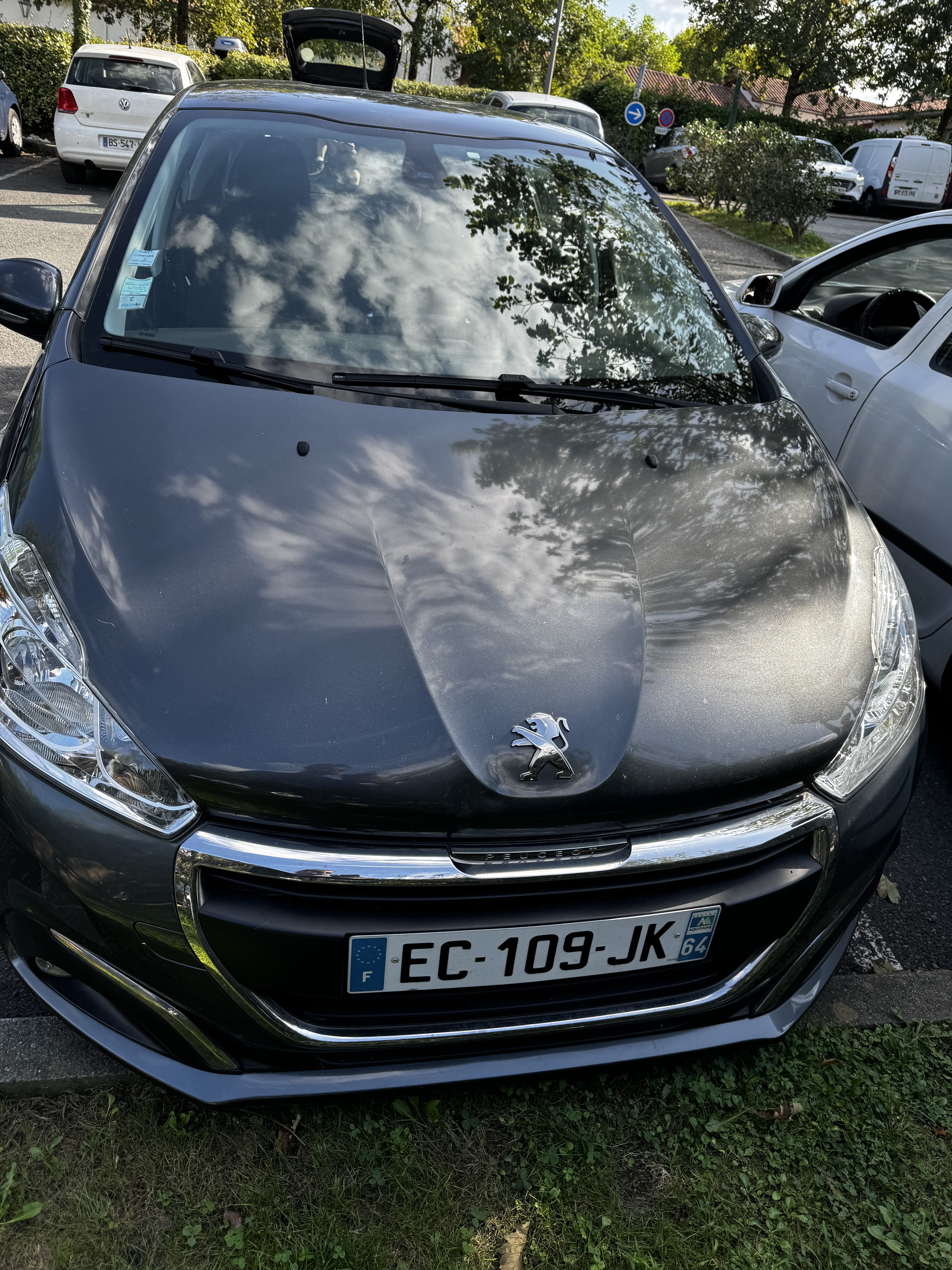 Peugeot 208 avec Chaines