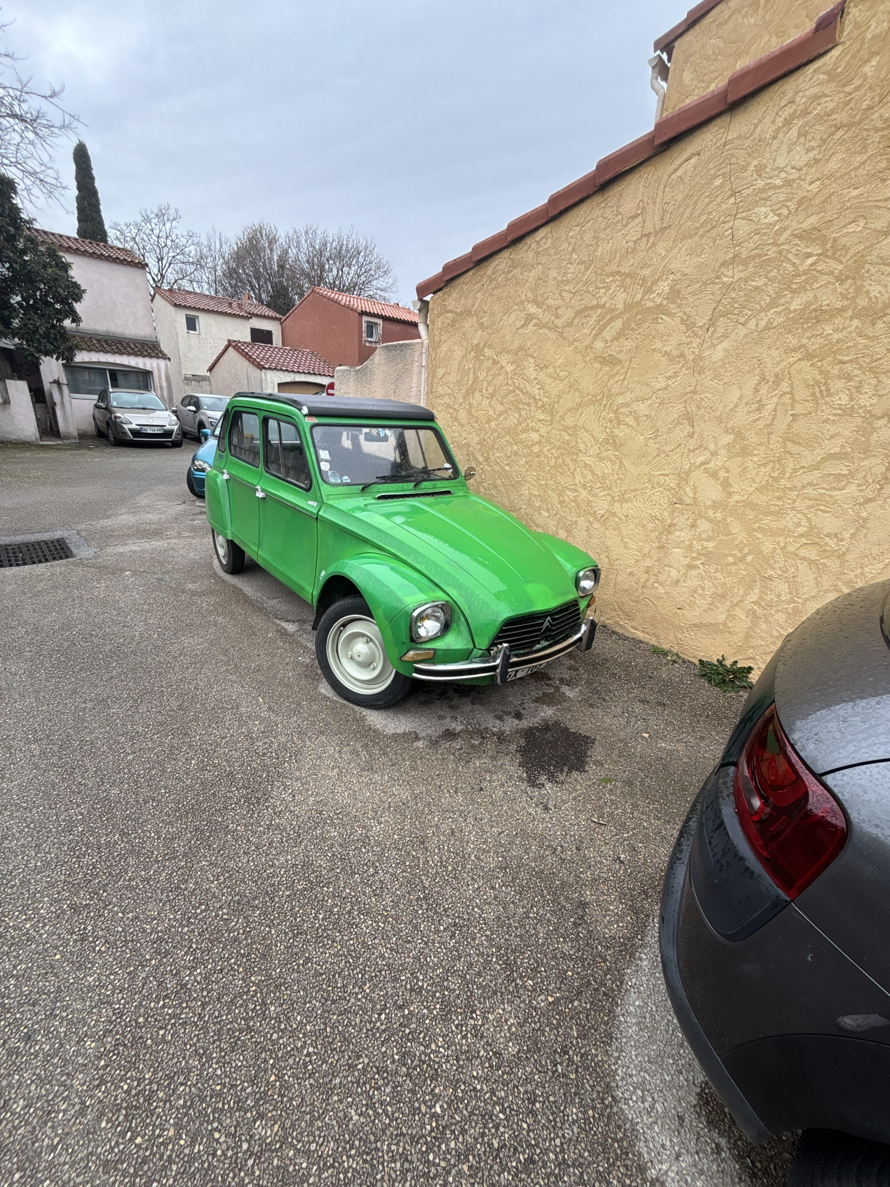 Citroen Dyane 6, 1976, Essence 98