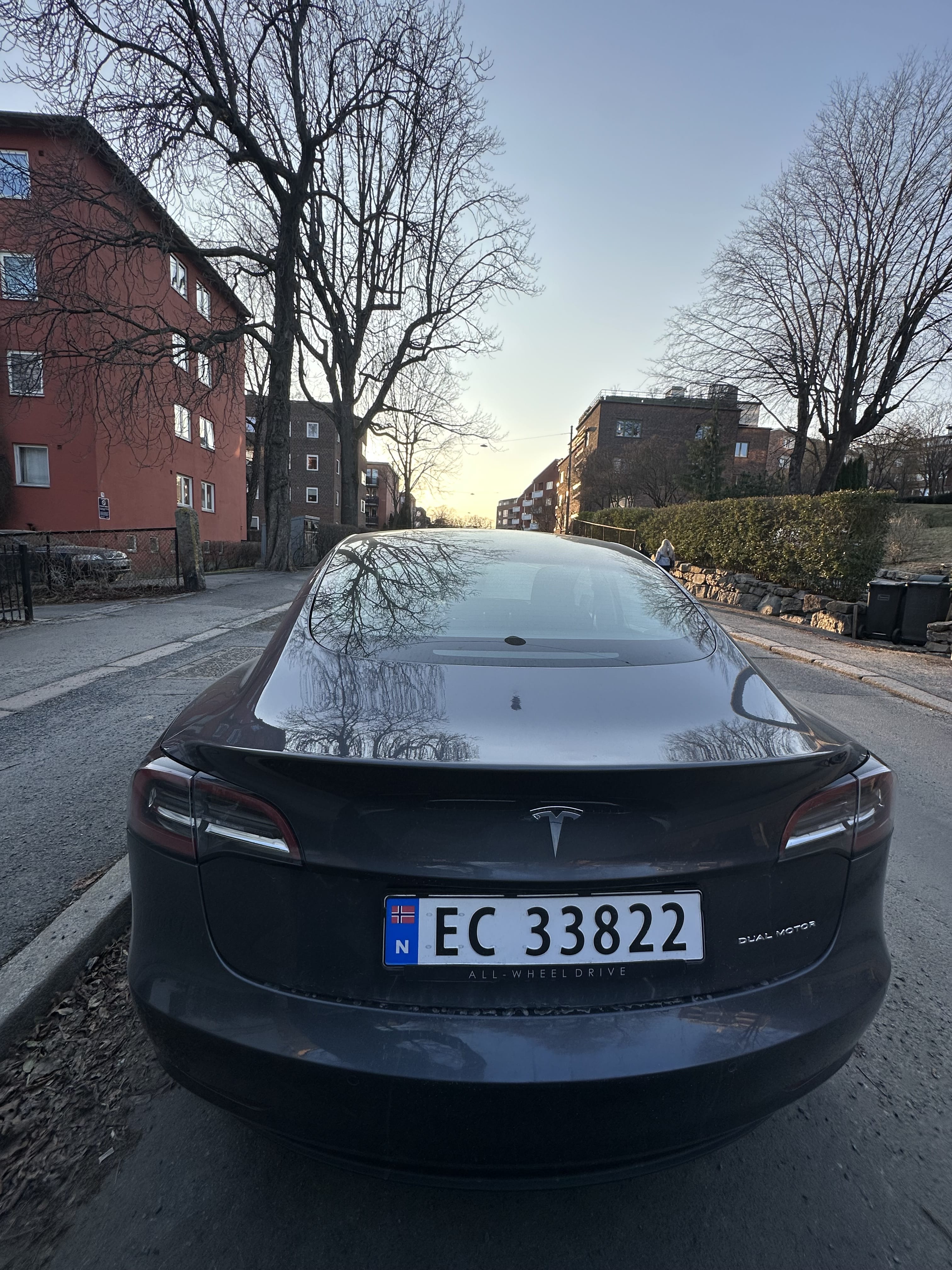 Tesla Model 3 Long Range med Bluetooth audio