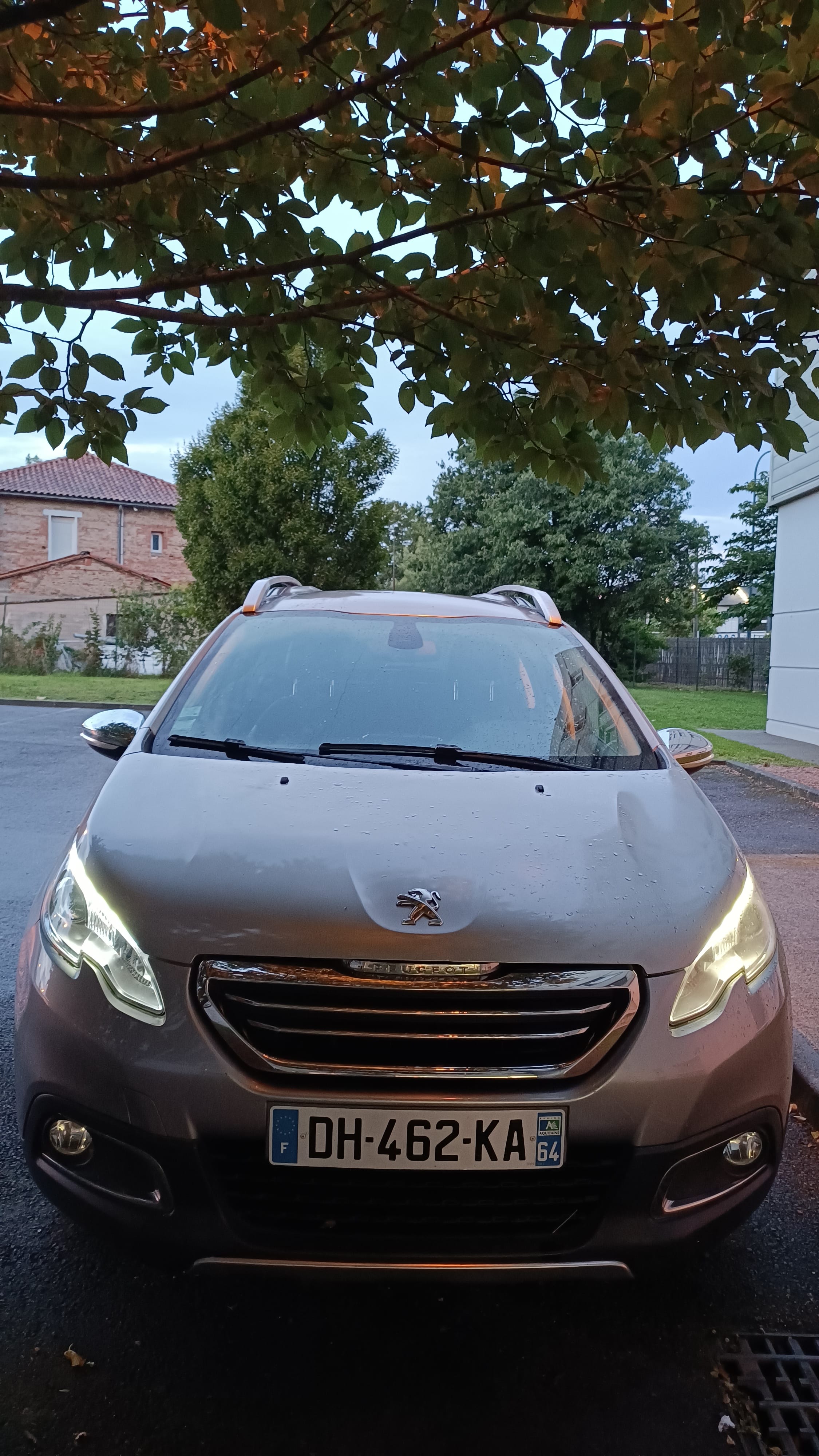 Peugeot 2008 1.2 avec Porte-vélos