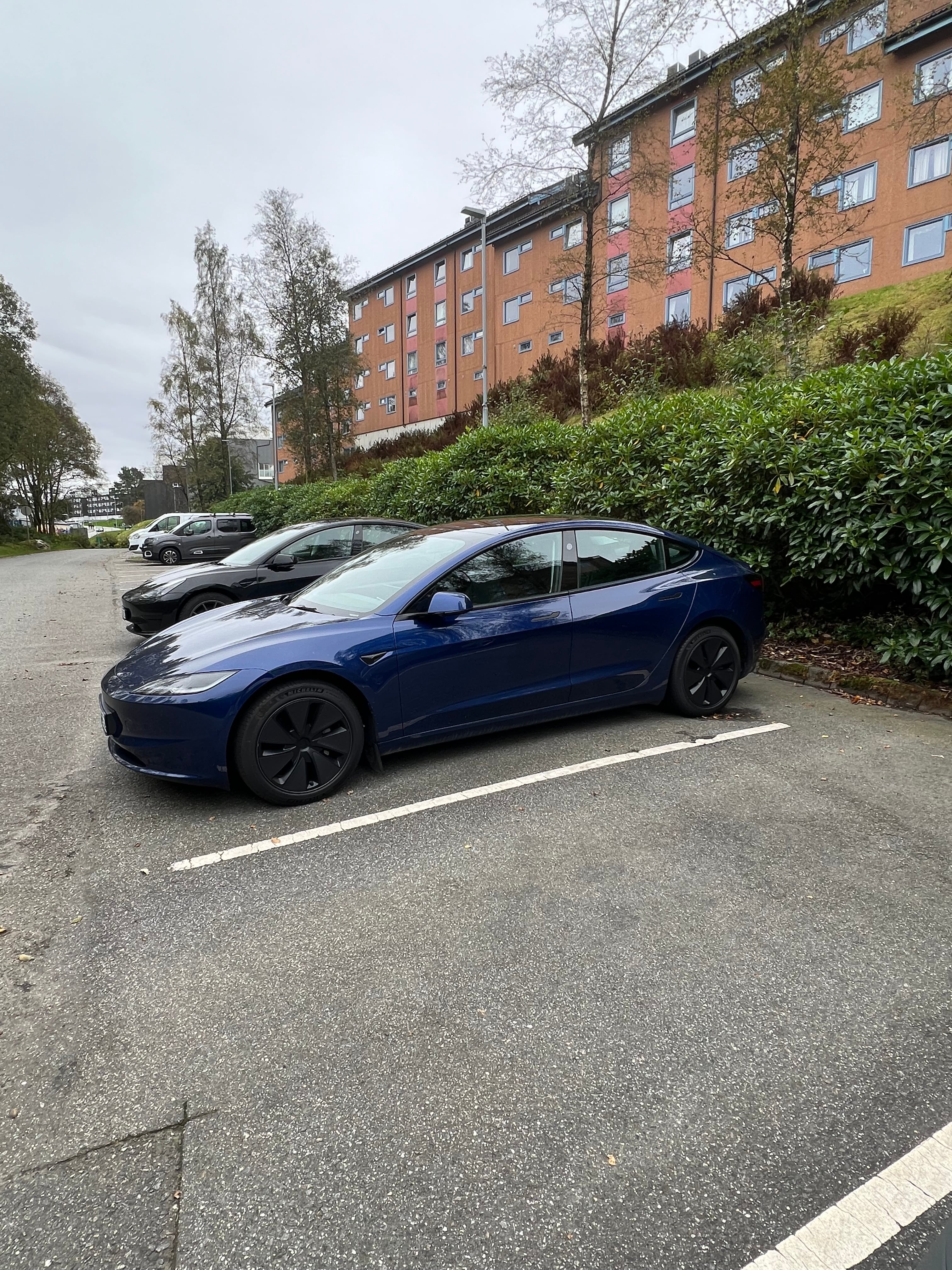 Tesla Model 3 Long Range med Ryggekamera