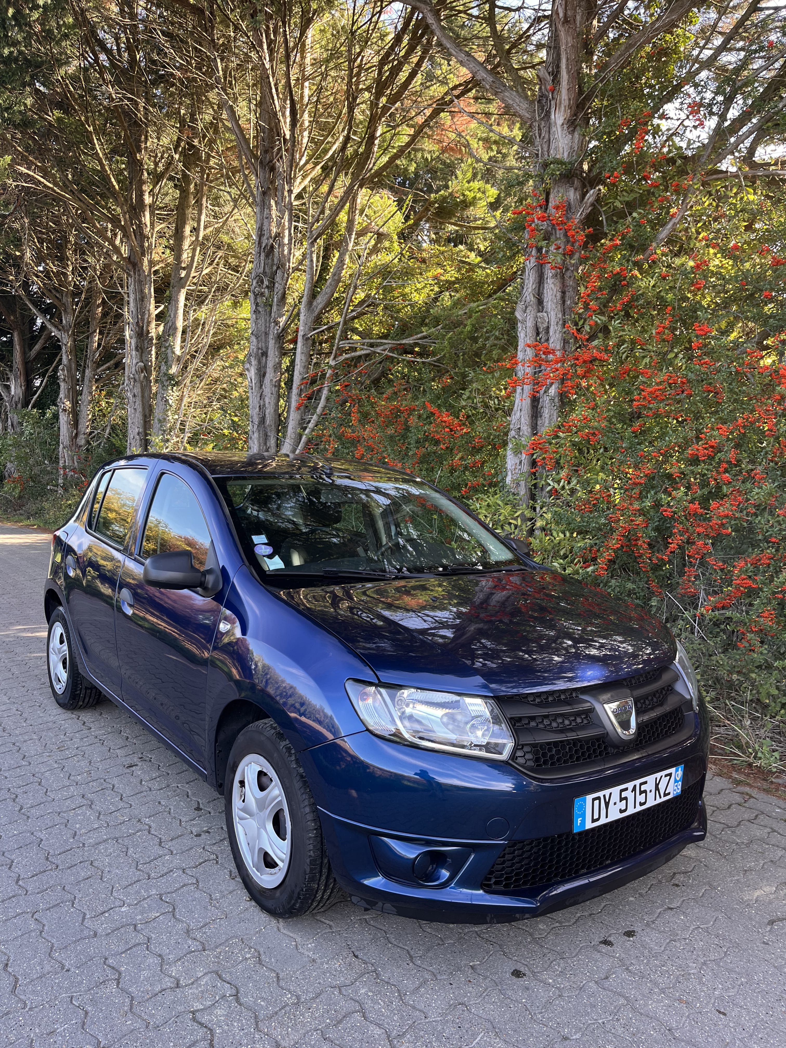 Dacia Sandero, 2015, Essence 98
