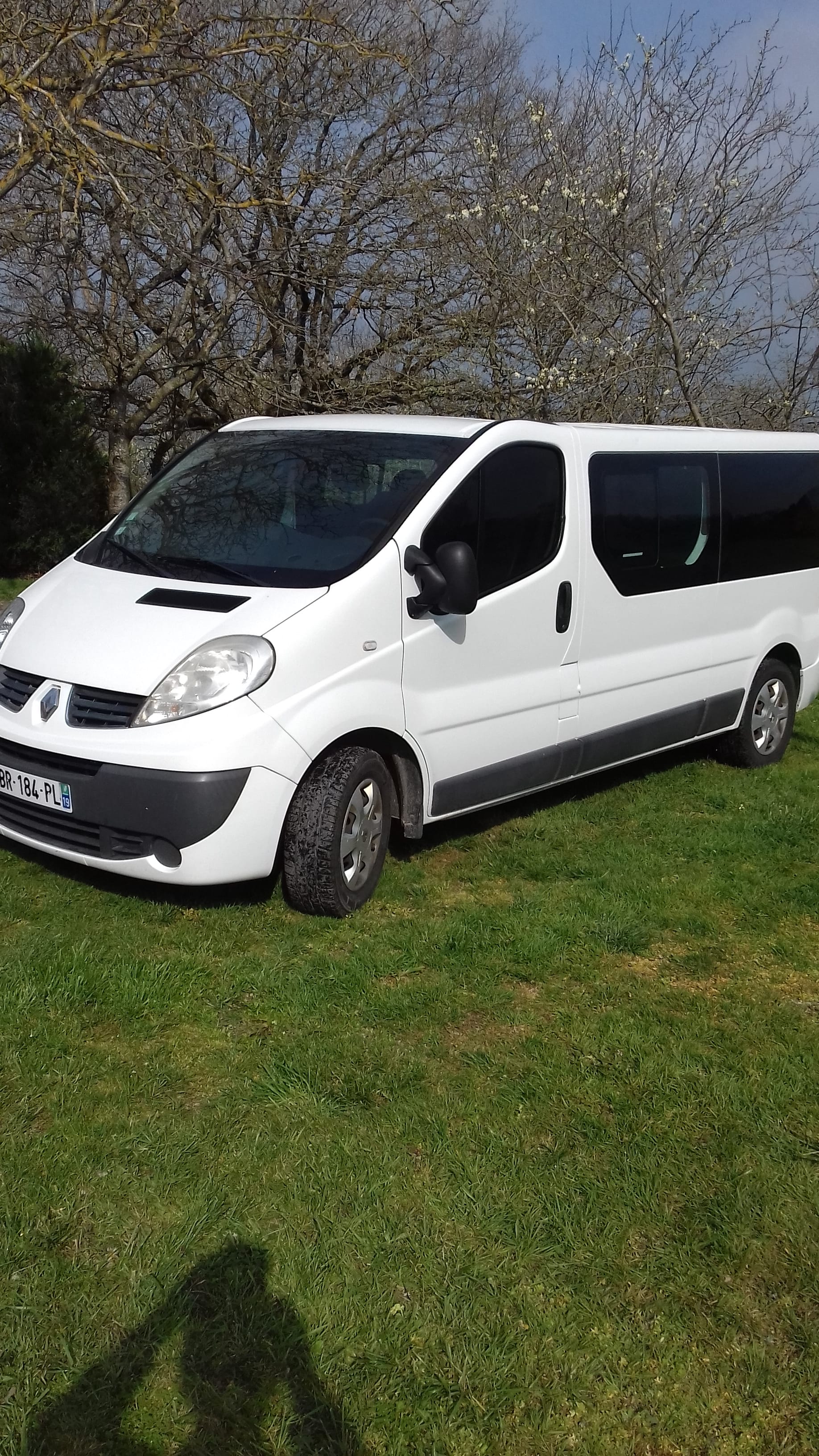 Renault Trafic Passenger  9 PLACES avec Siège bébé