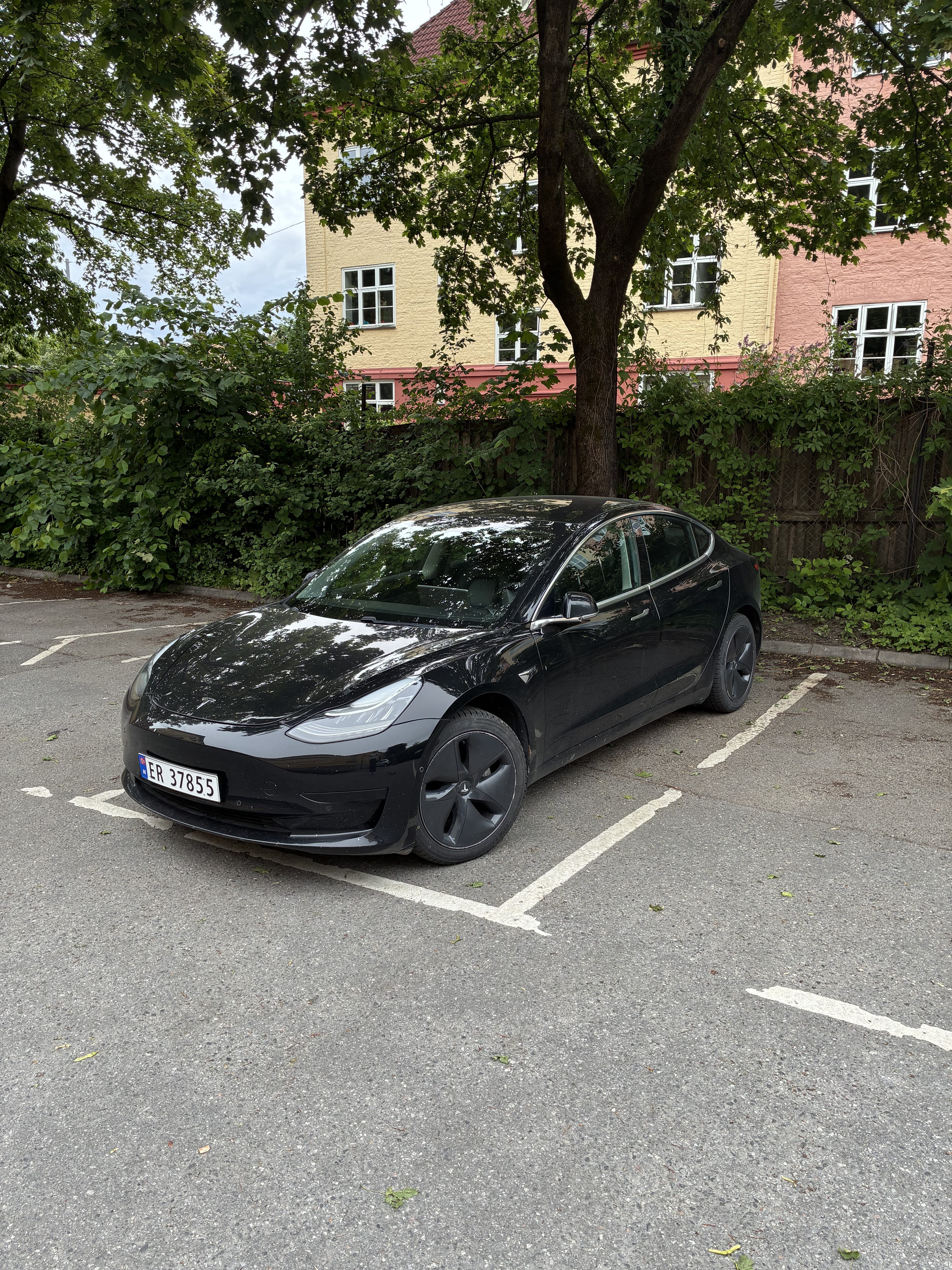Tesla Model 3 Standard Range med Bluetooth audio