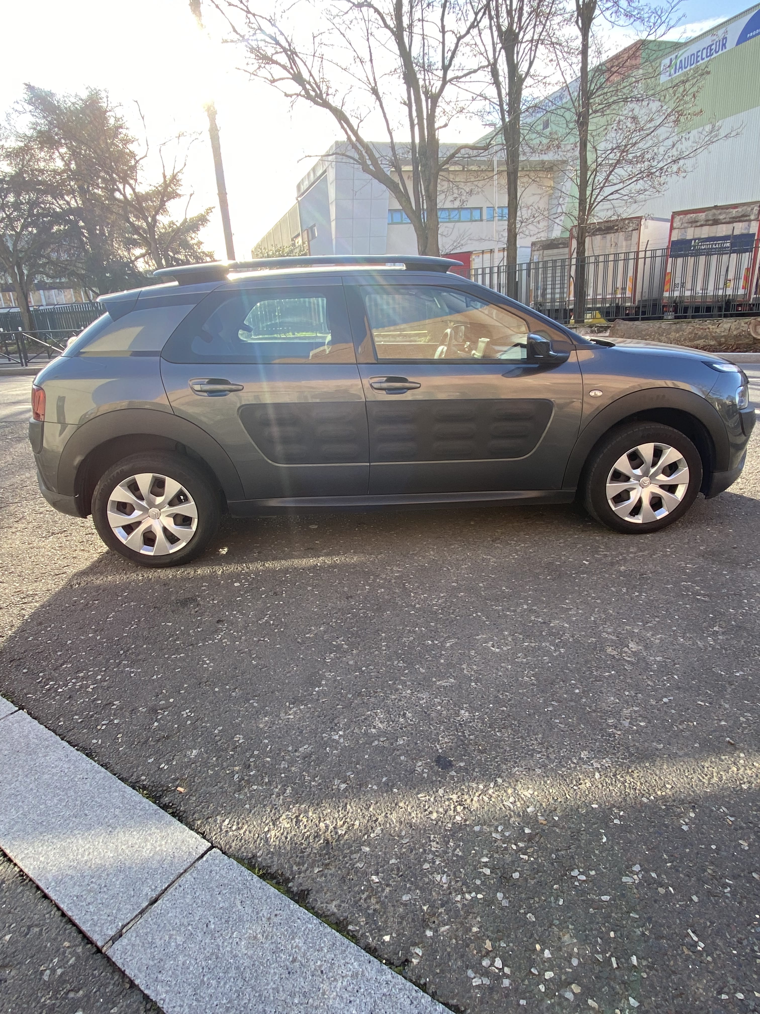 Citroen C4 Cactus mit Klimaanlage