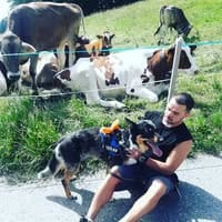 Bruno