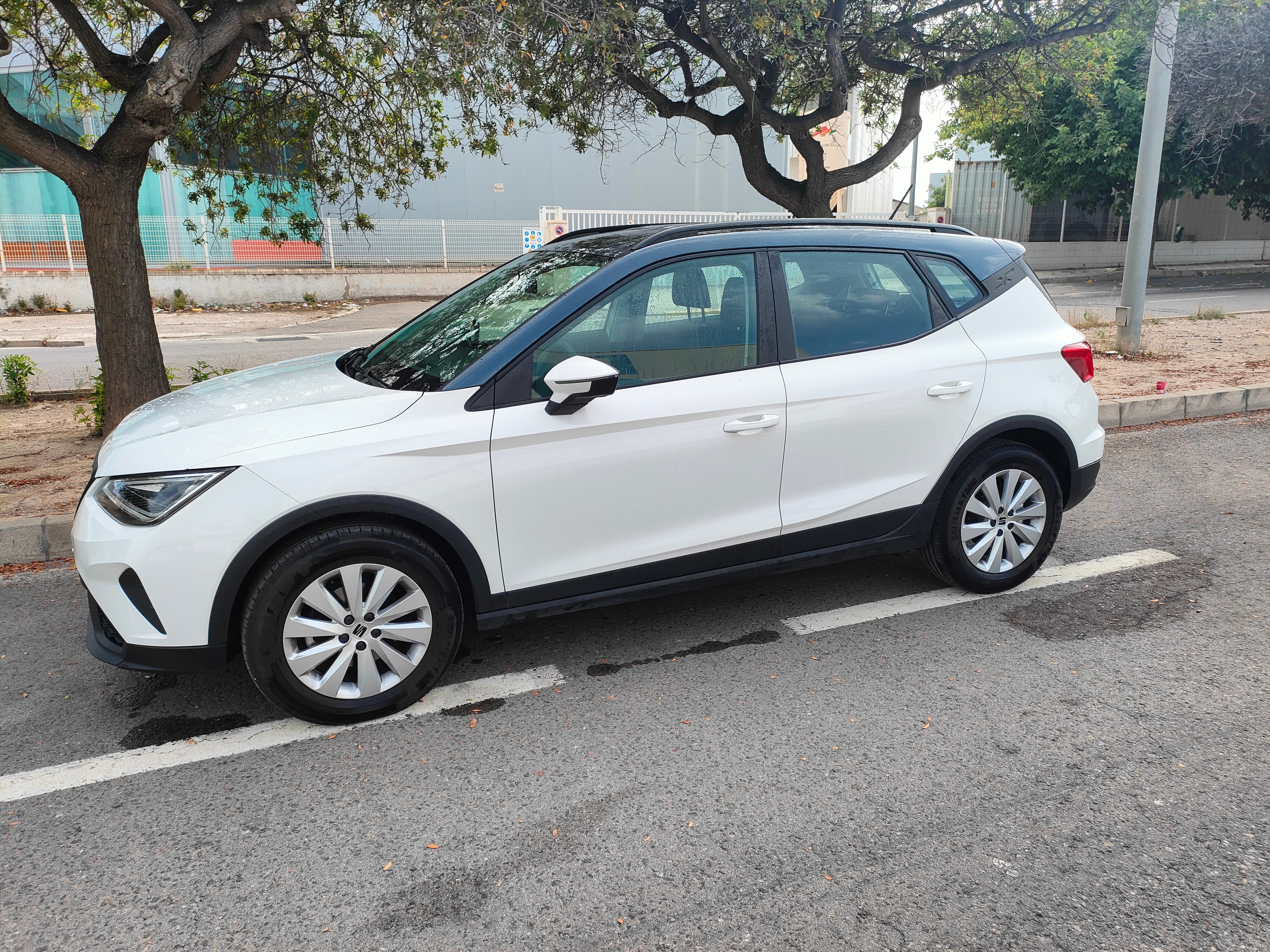 Seat Arona, 2024, Gasolina 95
