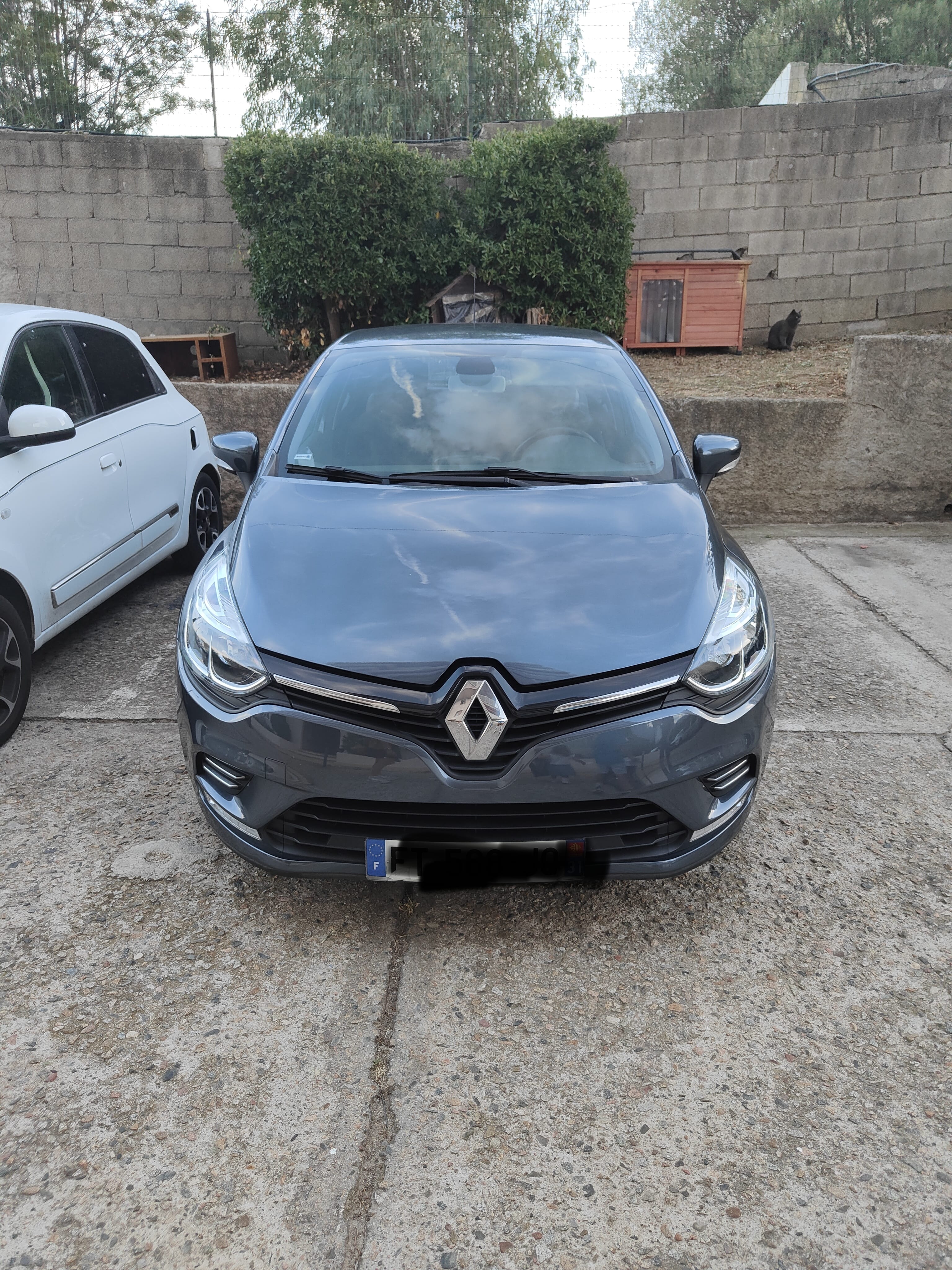 Renault Clio avec Climatisation