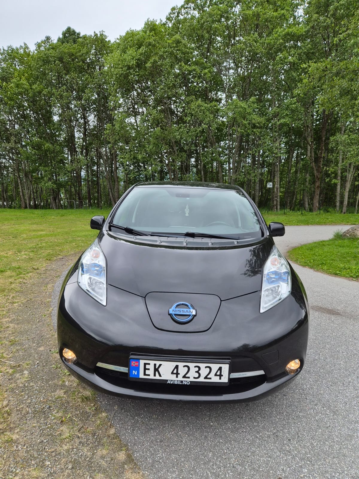 Nissan Leaf, 2017, Elektrisk, automatisk