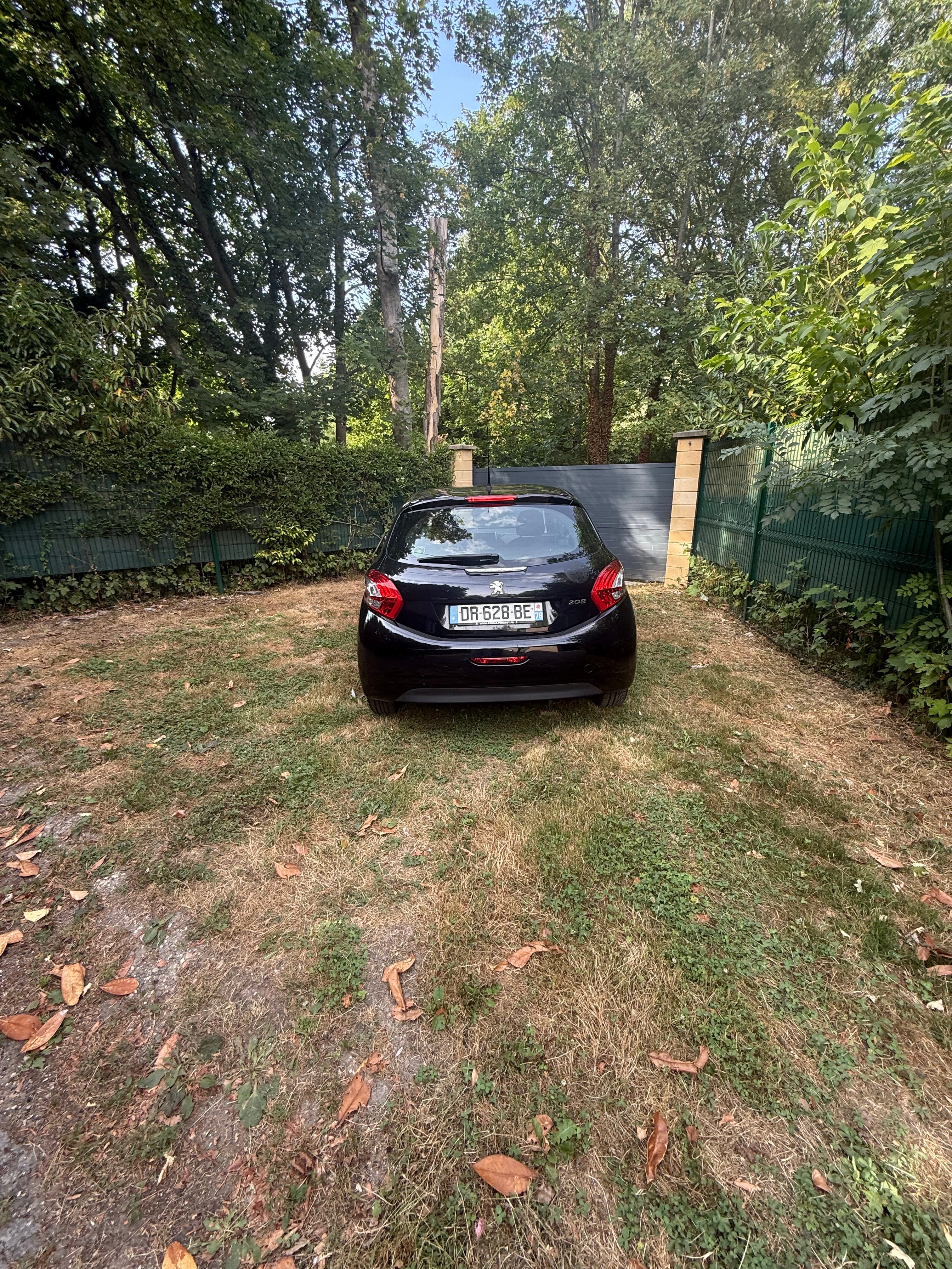 Peugeot 208 avec GPS