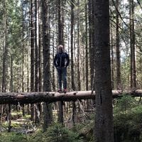 Bjørnar