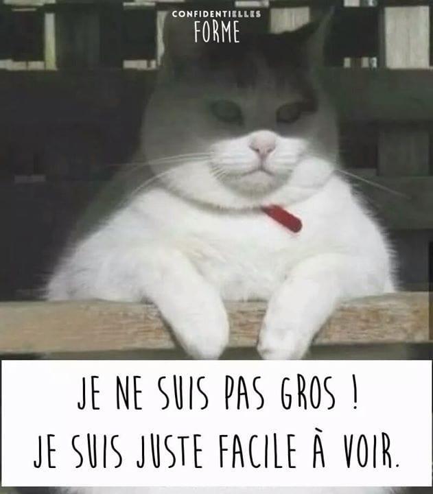 Yolaine Marie-Ange