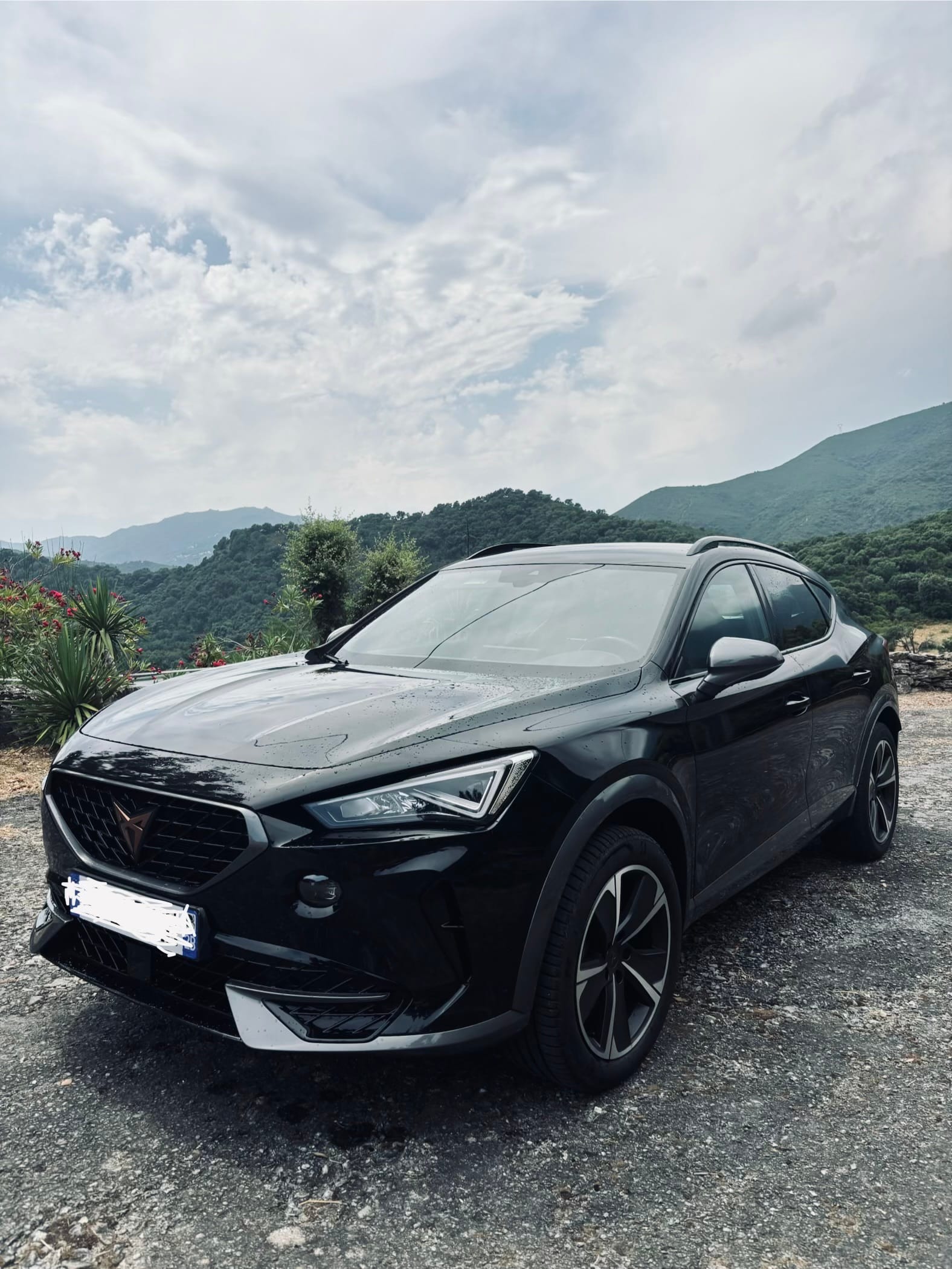 Cupra Formentor 2.0 TSI VZ DSG7, 2023, Essence 95, automatique