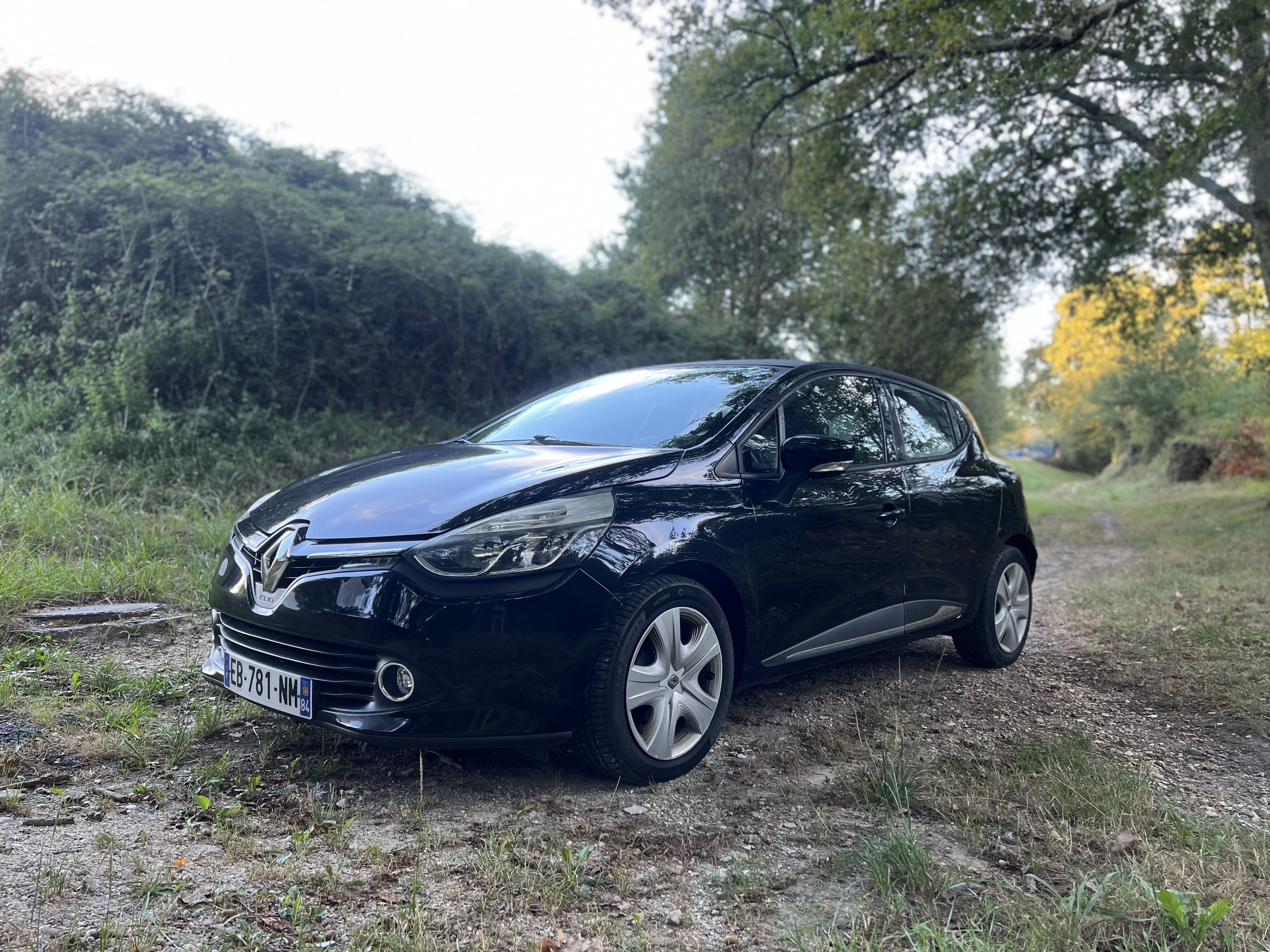 Renault Clio  Renault Clio 4 – Confort et Économie au Rendez-vous, 2016, Essence 95