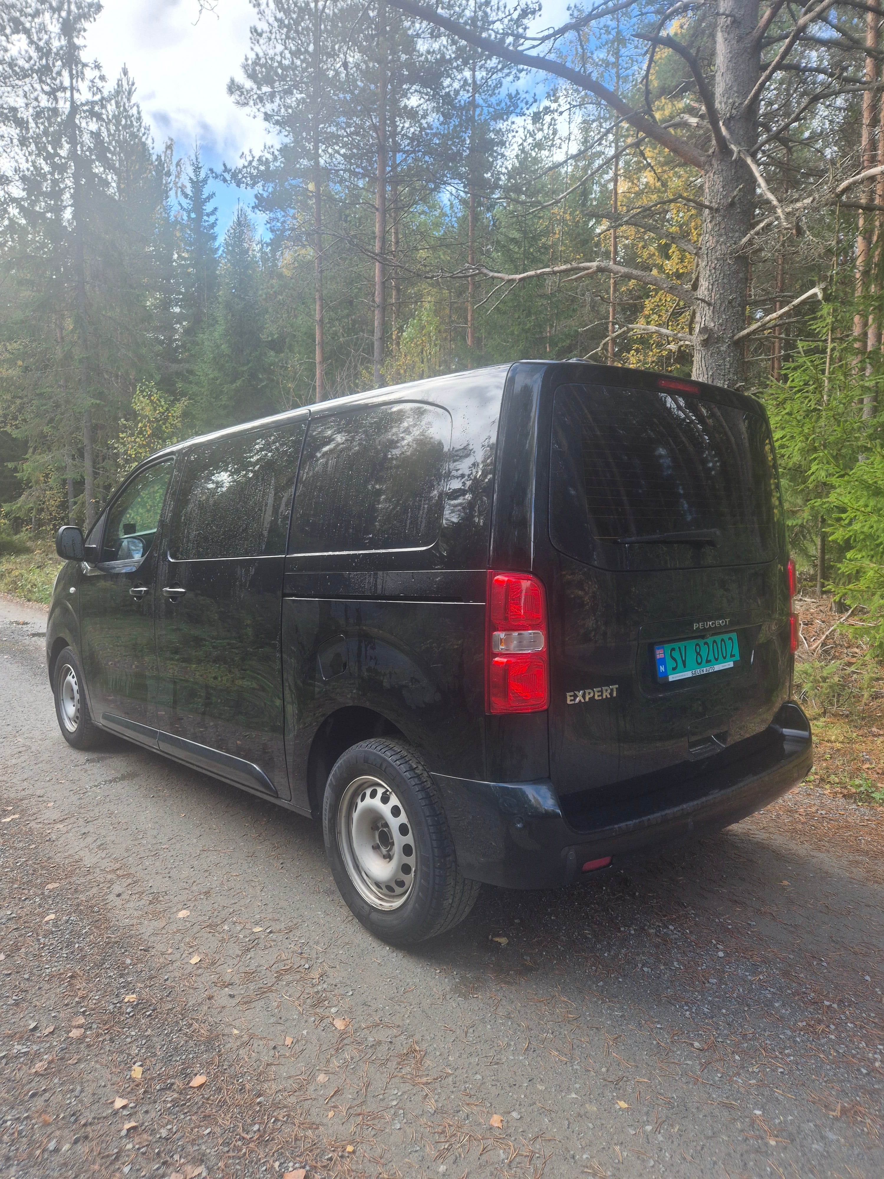 Peugeot Expert med Ryggekamera