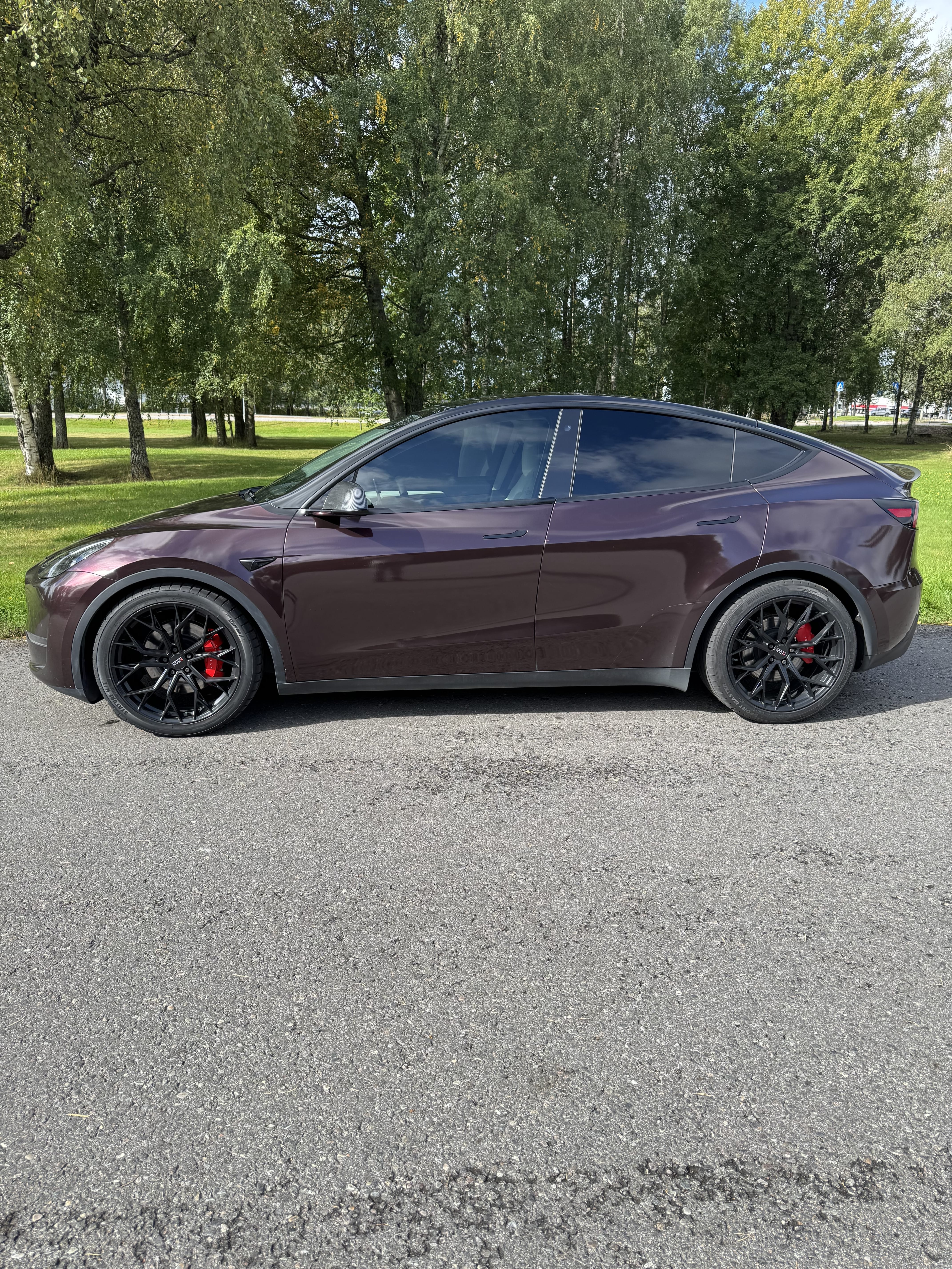 Tesla Model Y Performance med Aircondition