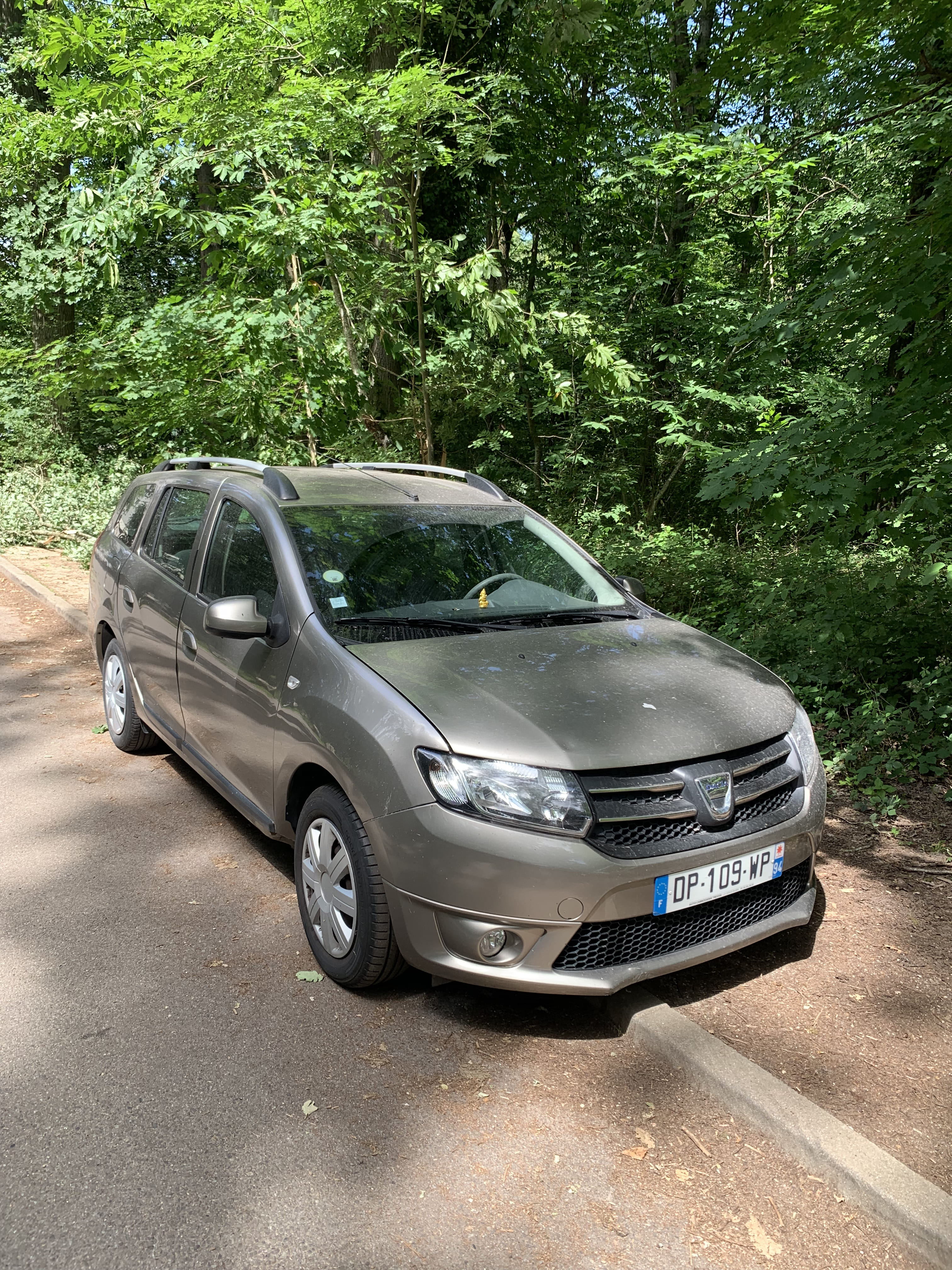 Dacia Logan MCV avec Audio Bluetooth
