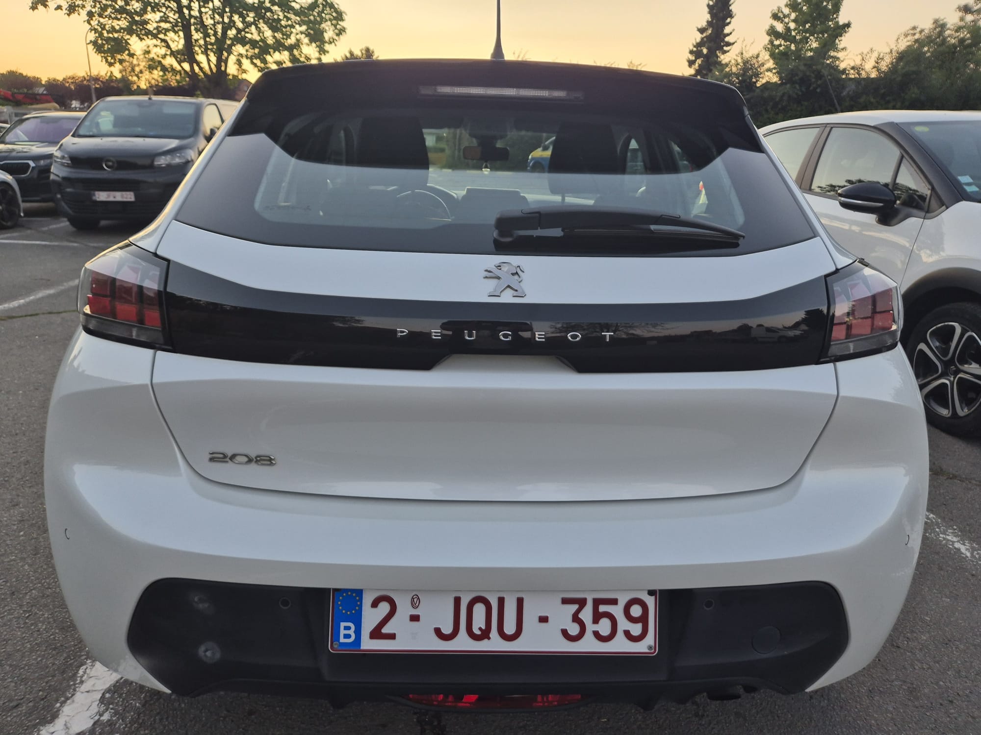 Peugeot 208, 2020, Euro 95 (E10)