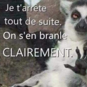 Didier