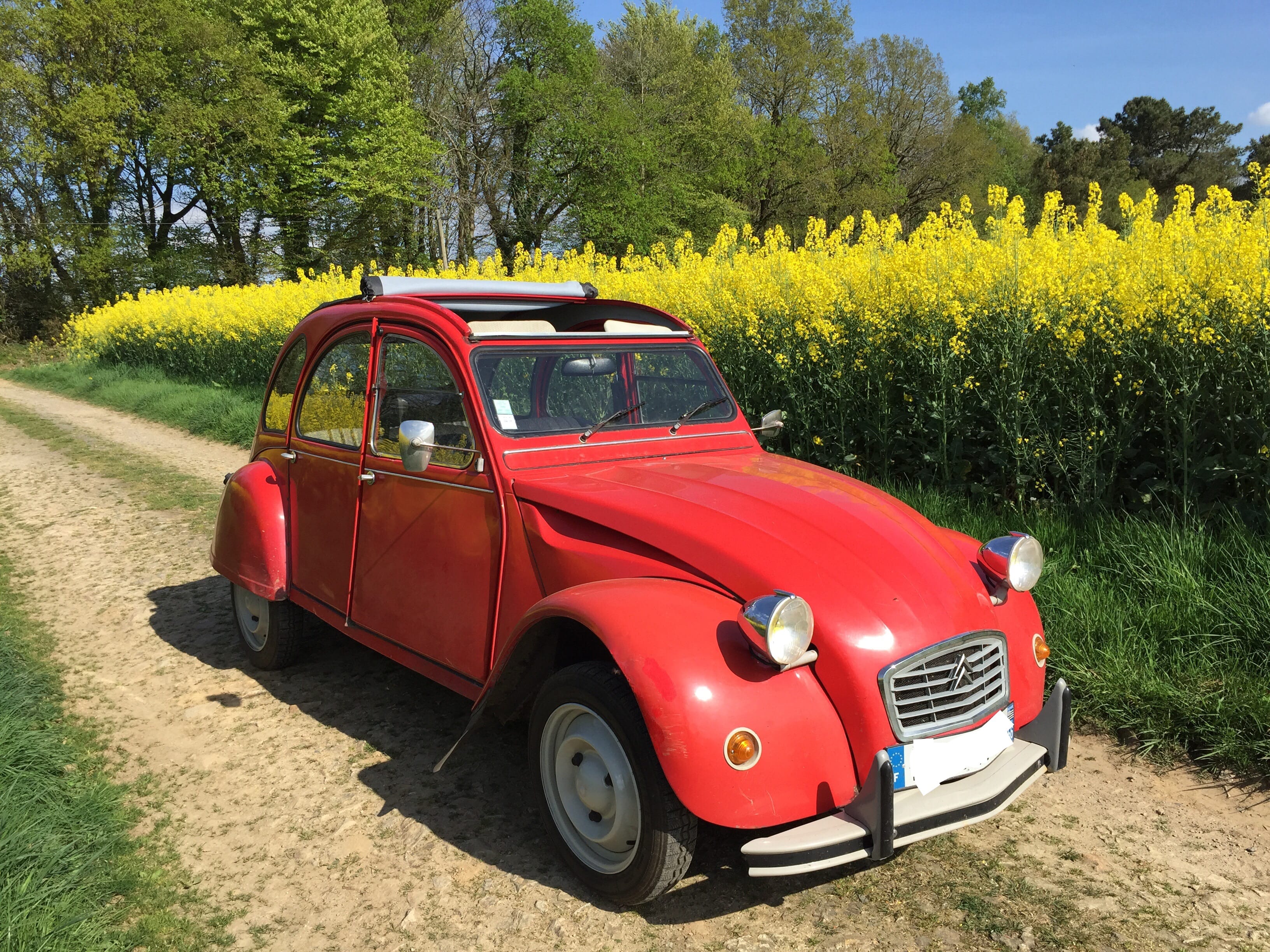Citroen 2CV, 1984, Essence 98