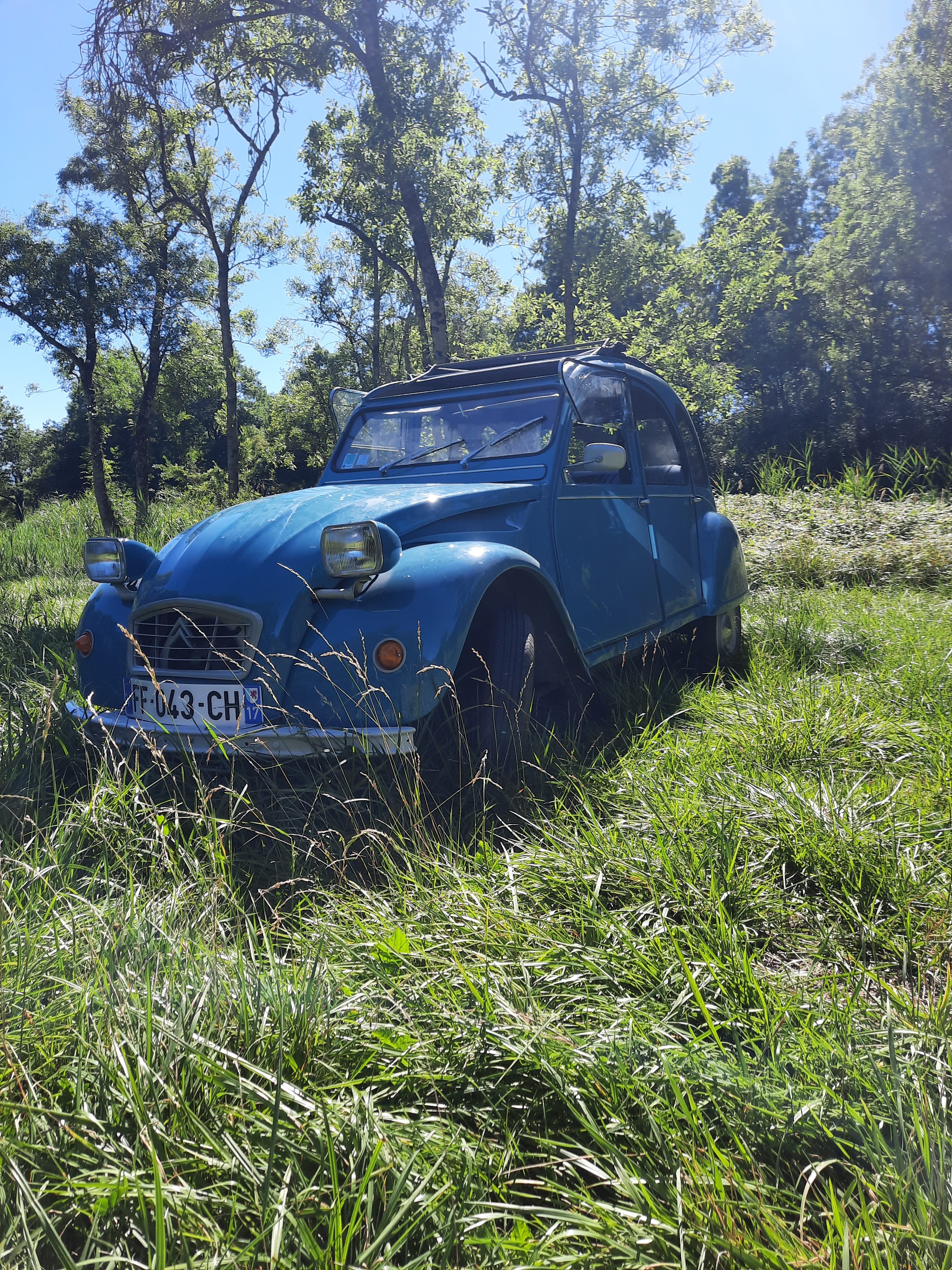 Citroen 2CV, 1982, Essence 98