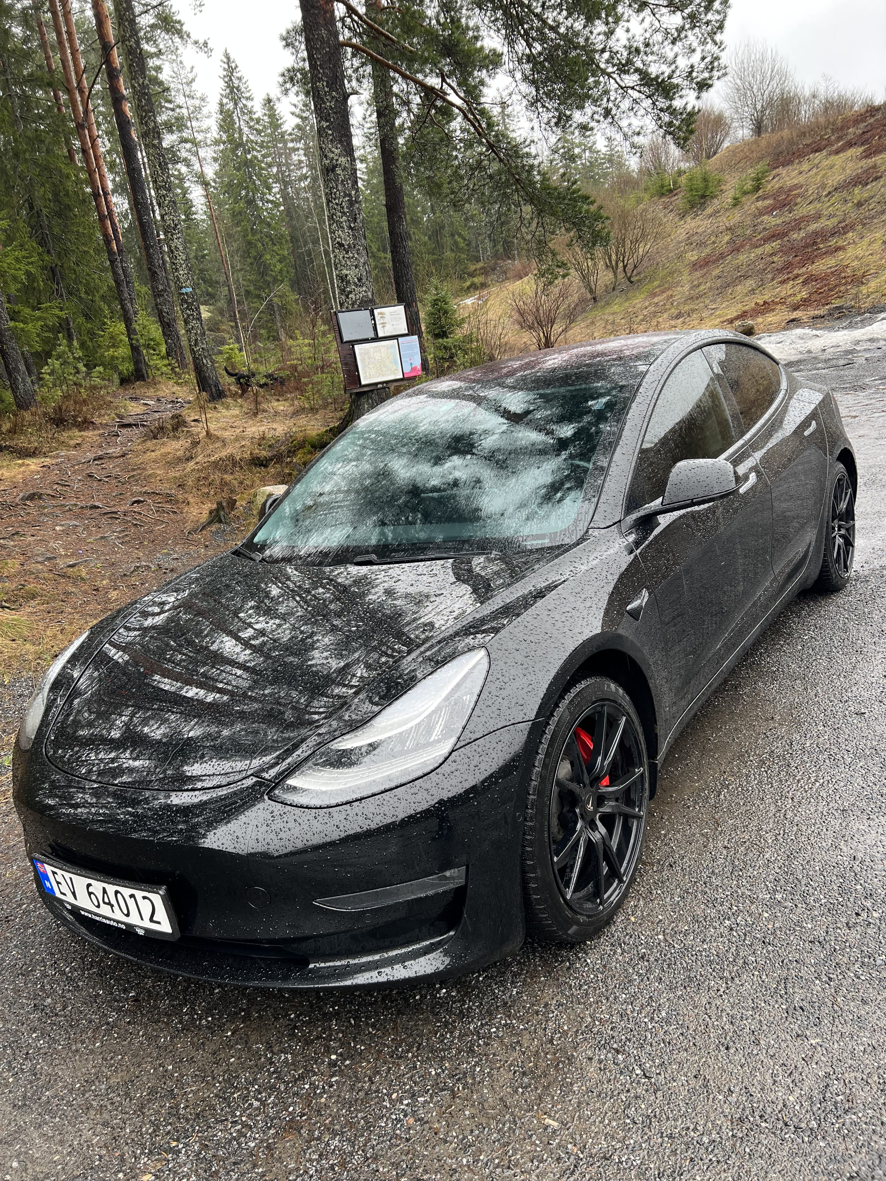Tesla Model 3, 2019, Elektrisk, automatisk