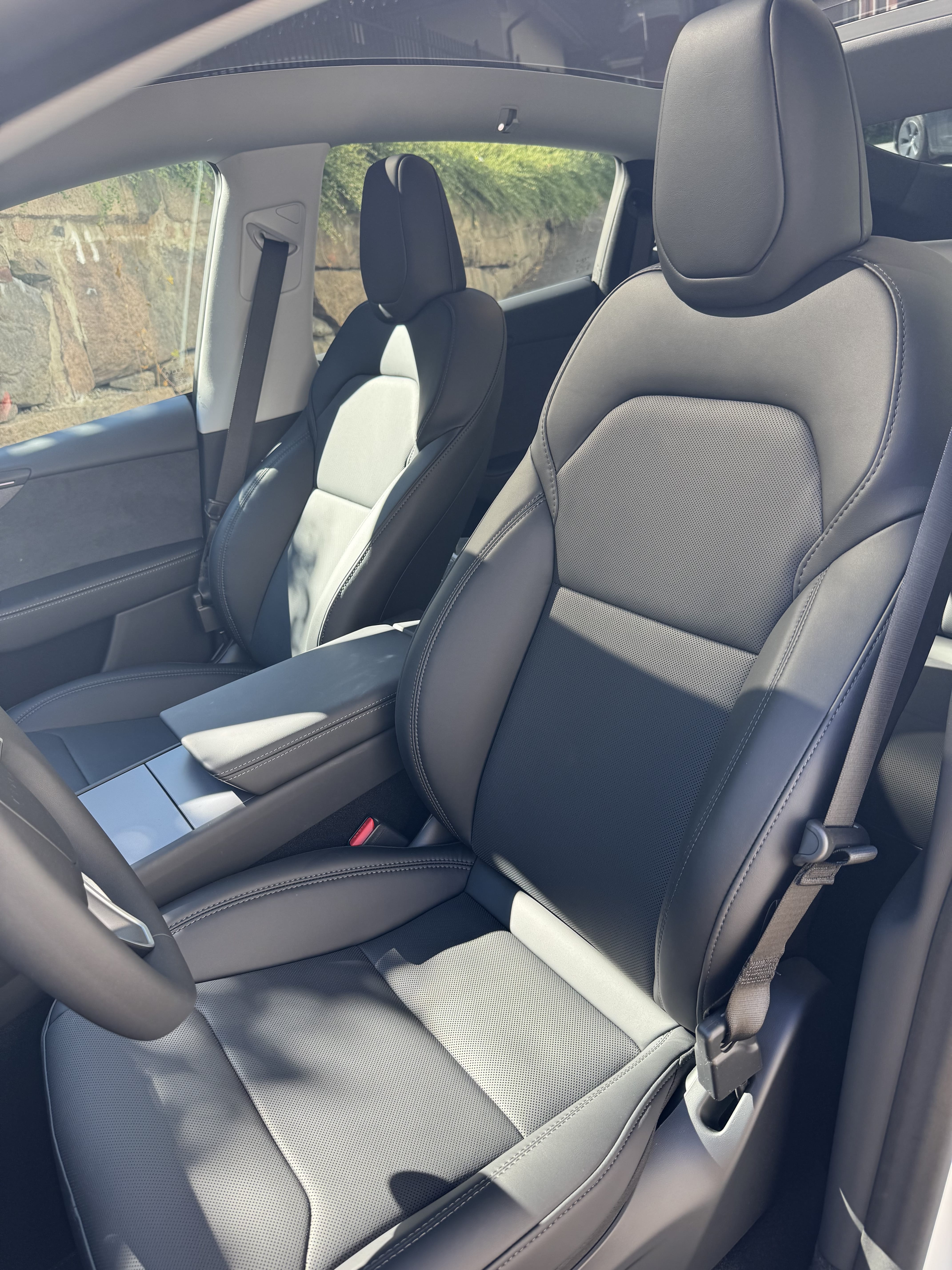 Tesla Model Y Long Range med Bluetooth audio