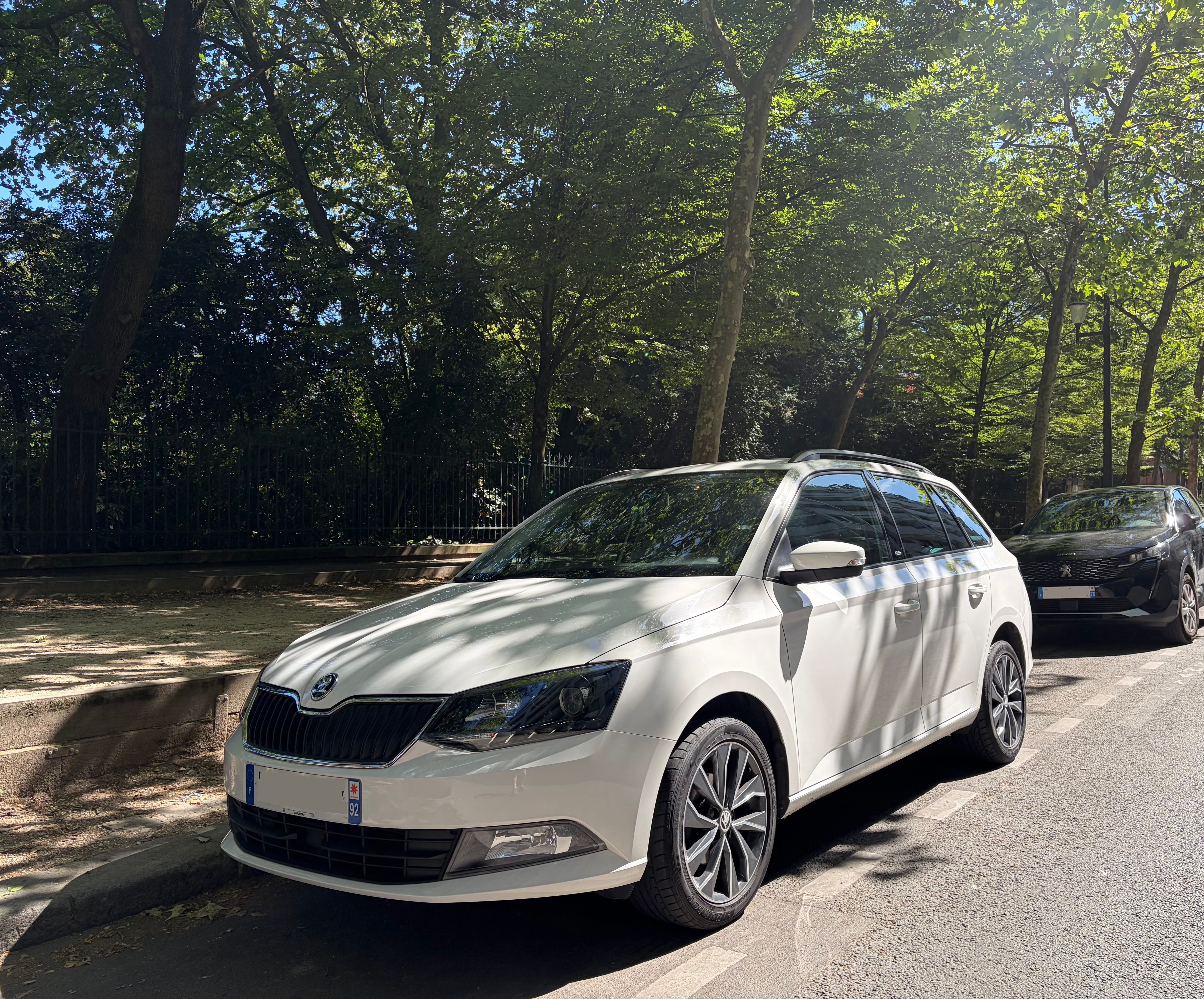 Skoda Fabia Combi Break, 2015, Essence 98
