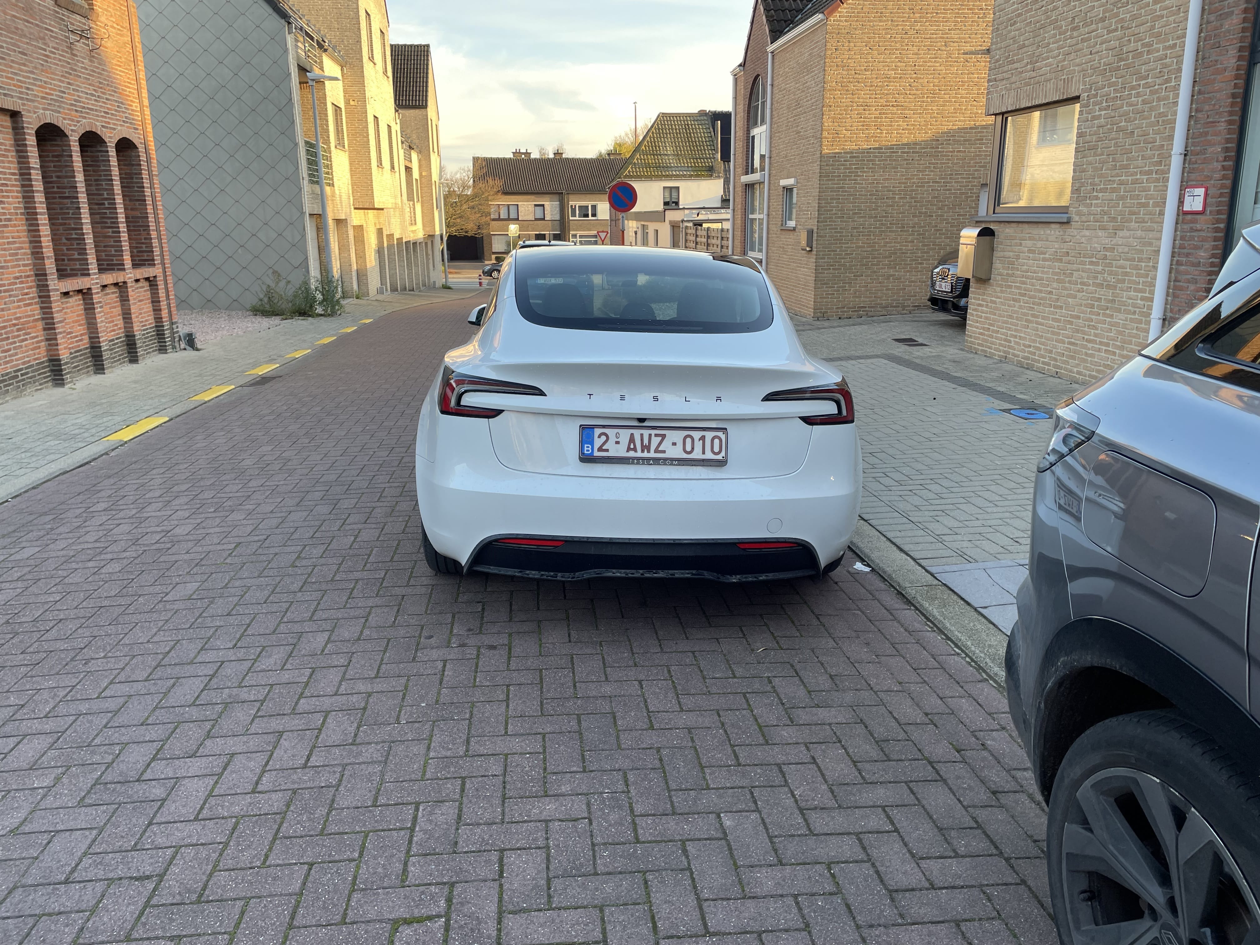 Tesla Model 3 met GPS