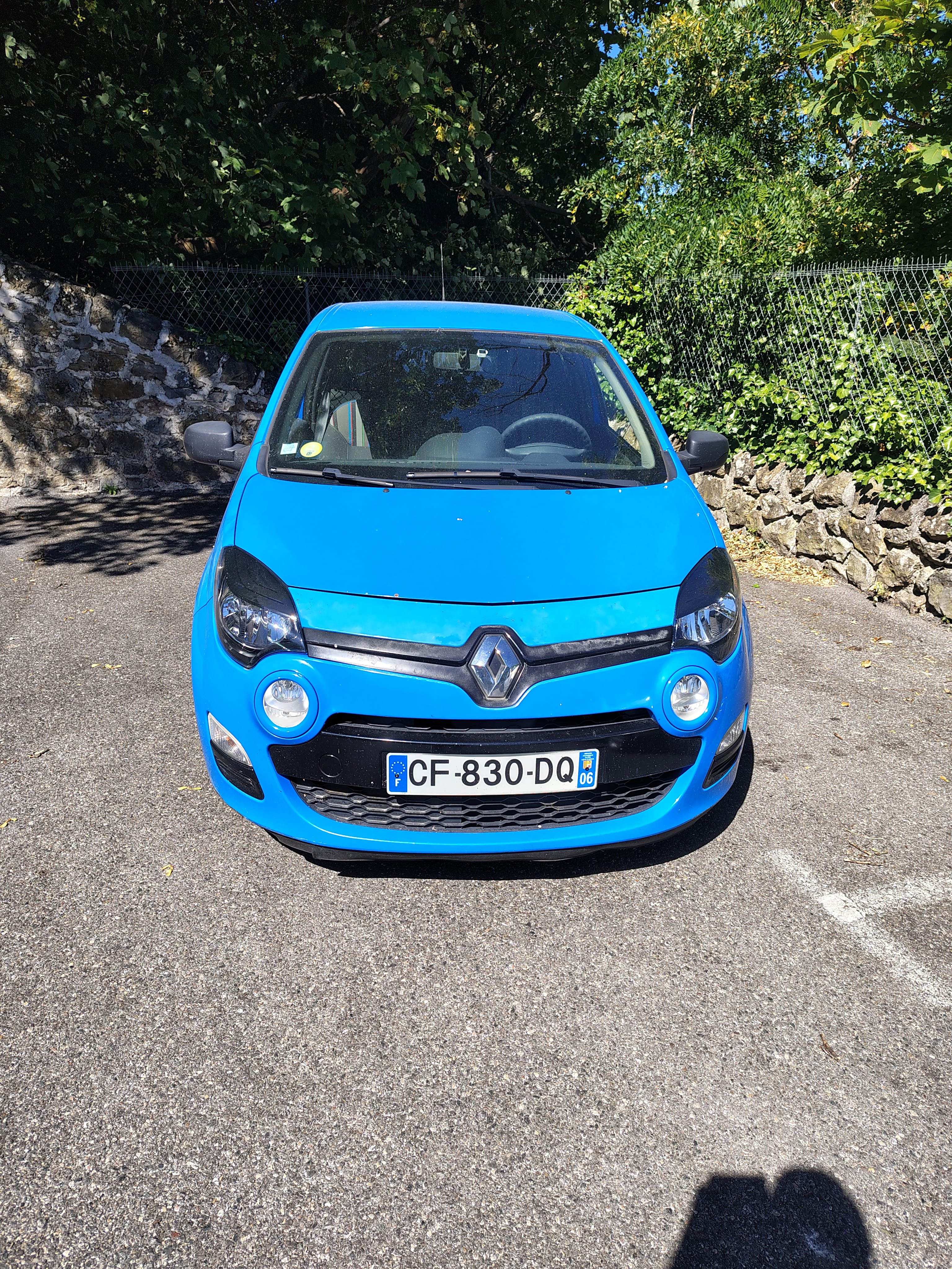 Renault Twingo Société avec Entrée audio / iPod