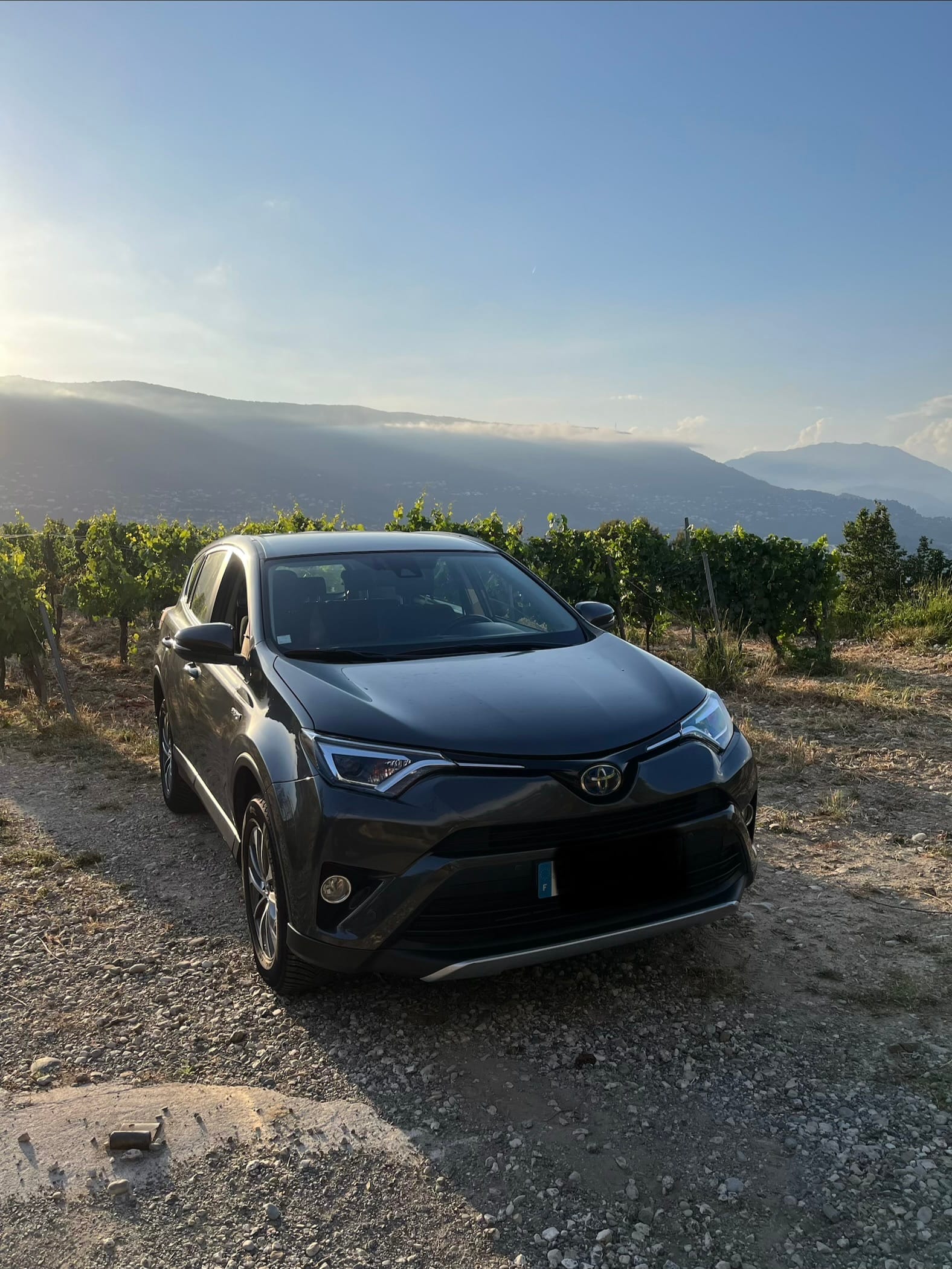 Toyota Rav4 Hybride, 2016, Essence 95 / Électrique (hybride), automatique