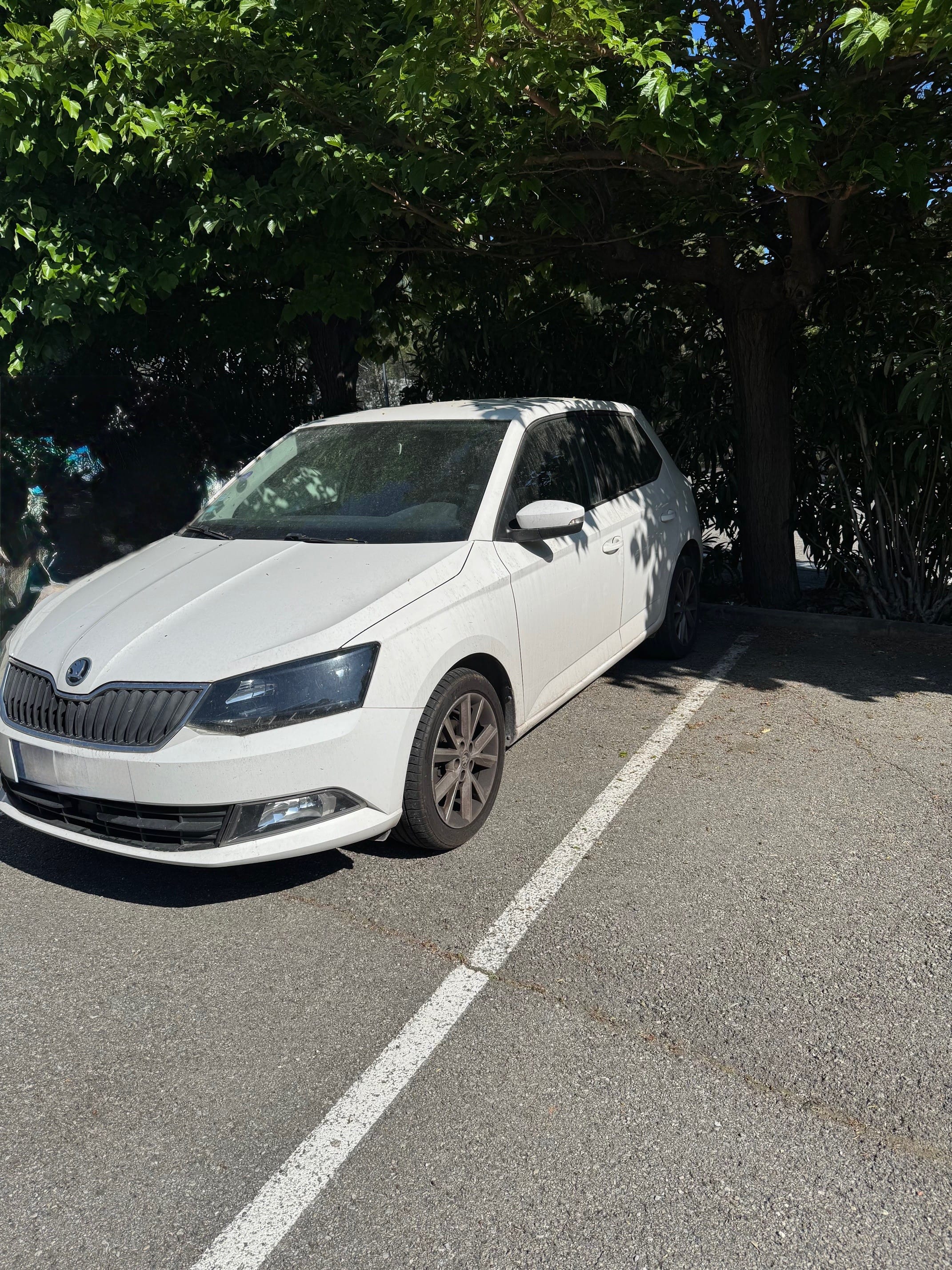 Skoda Fabia, 2017, Essence 95