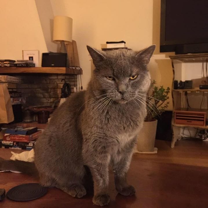 Gilbert