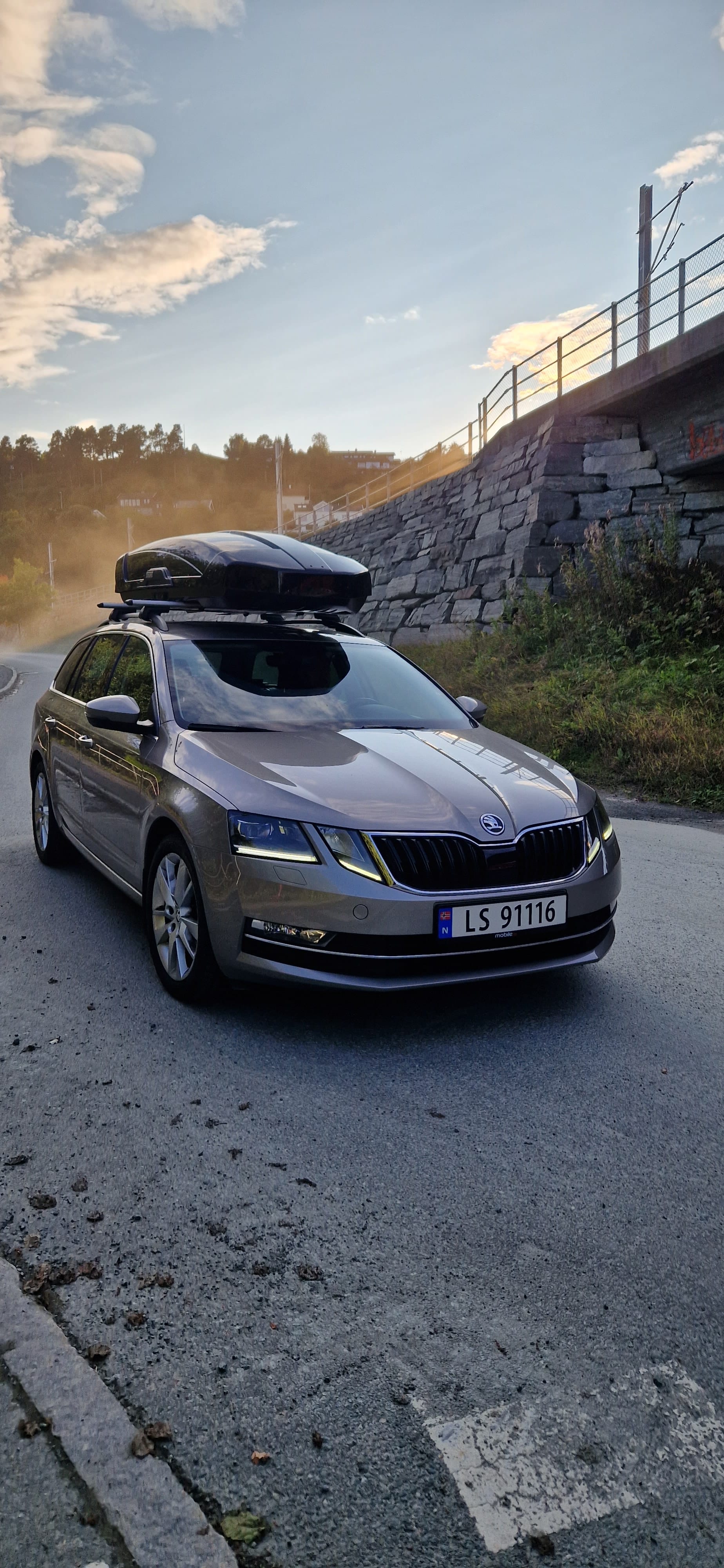 Skoda Octavia, 2018, Blyfri 95, automatic
