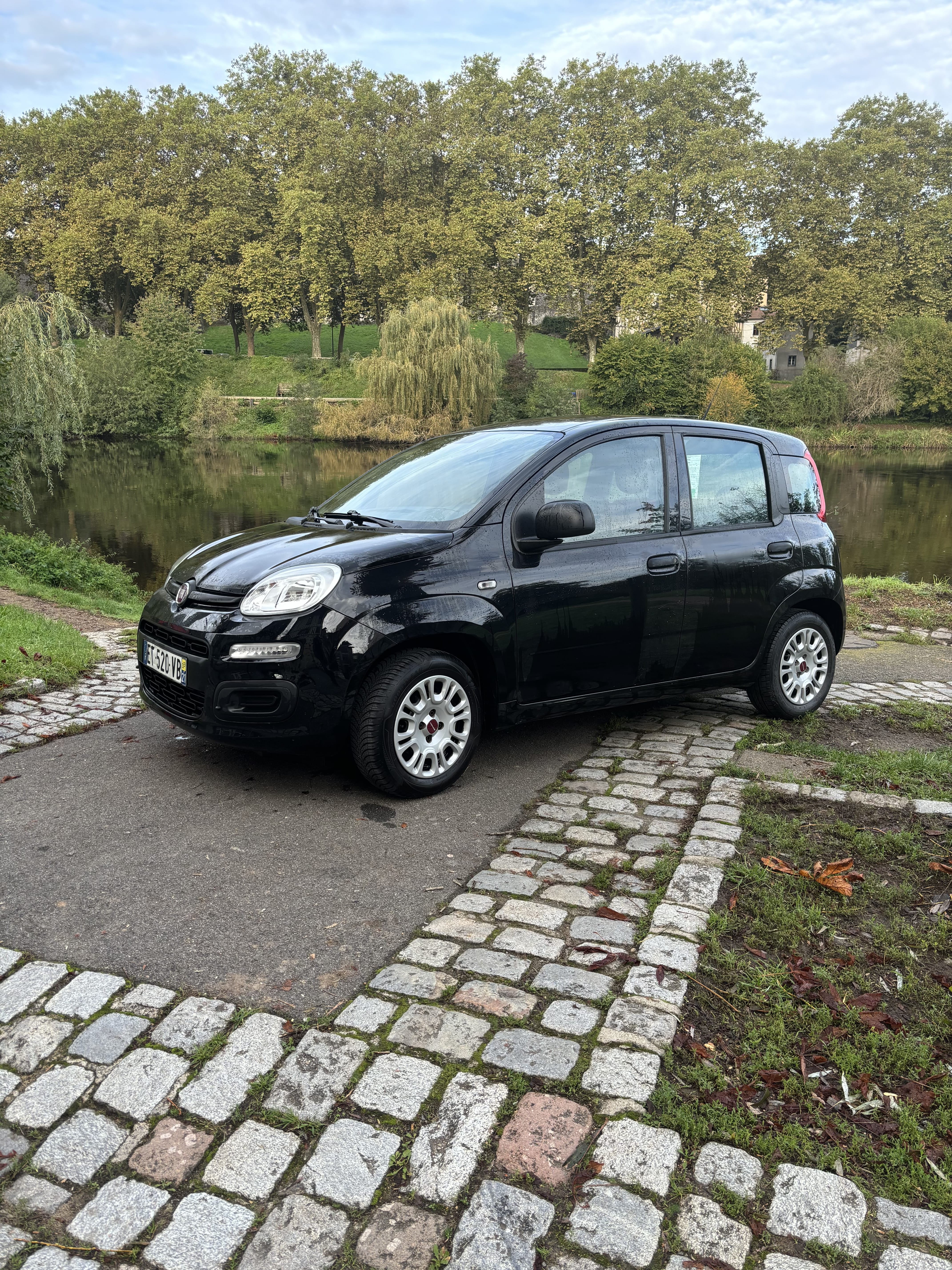 Fiat Panda BUSINESS 1.2L 69CV, 2018, Essence 95