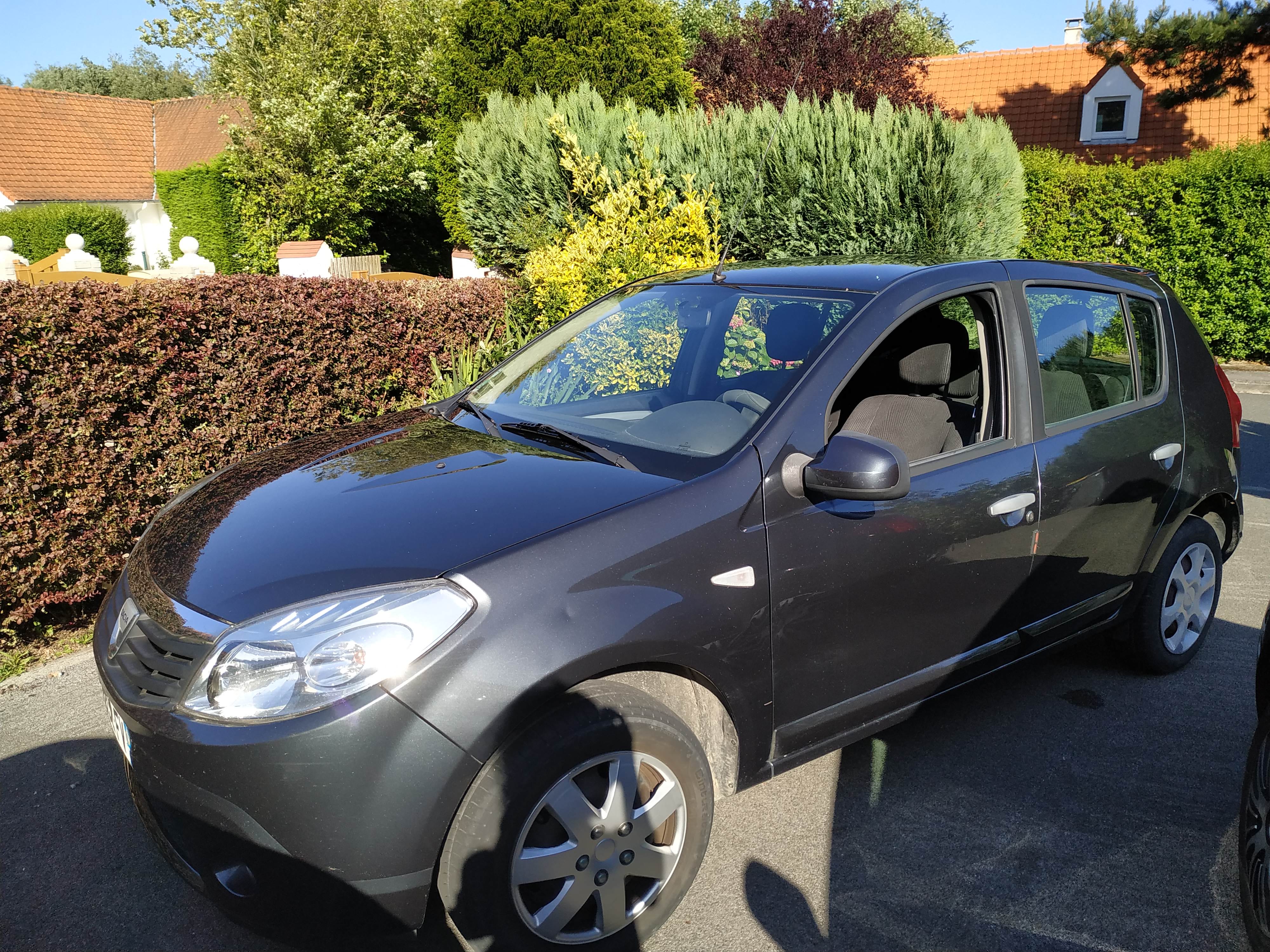 Dacia Sandero laureate, 2010