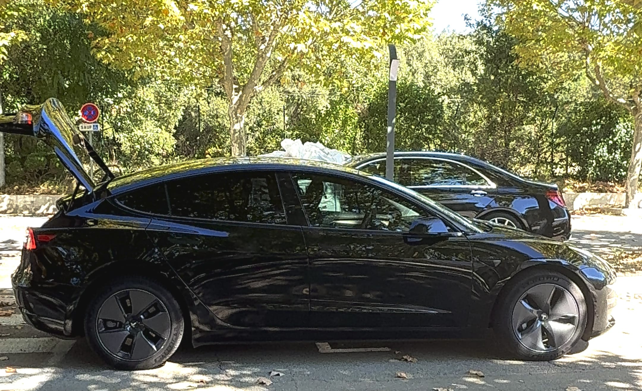 Tesla Model 3 Long Range, 2023, Électrique, automatique