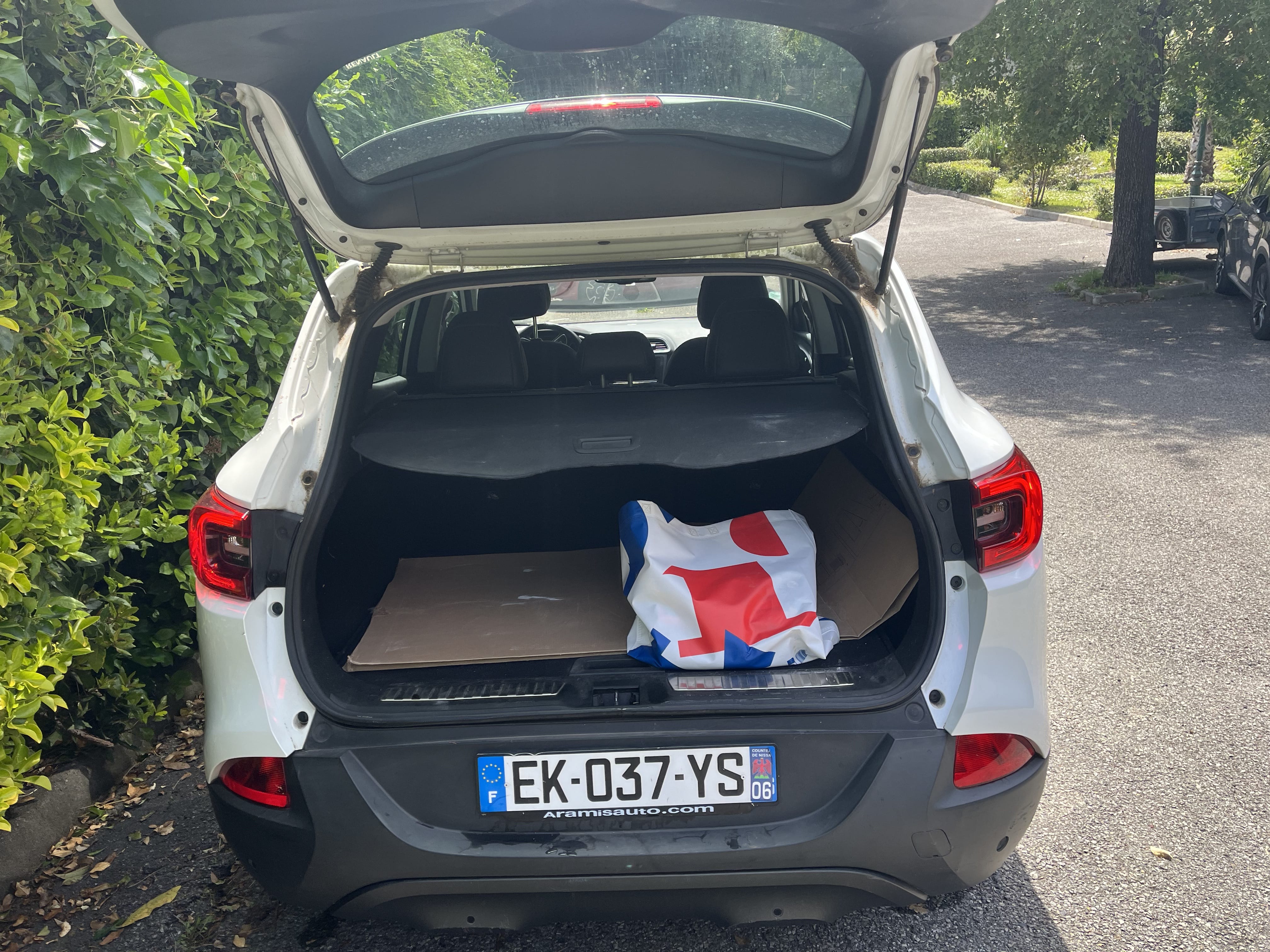 Renault Kadjar with Bluetooth audio